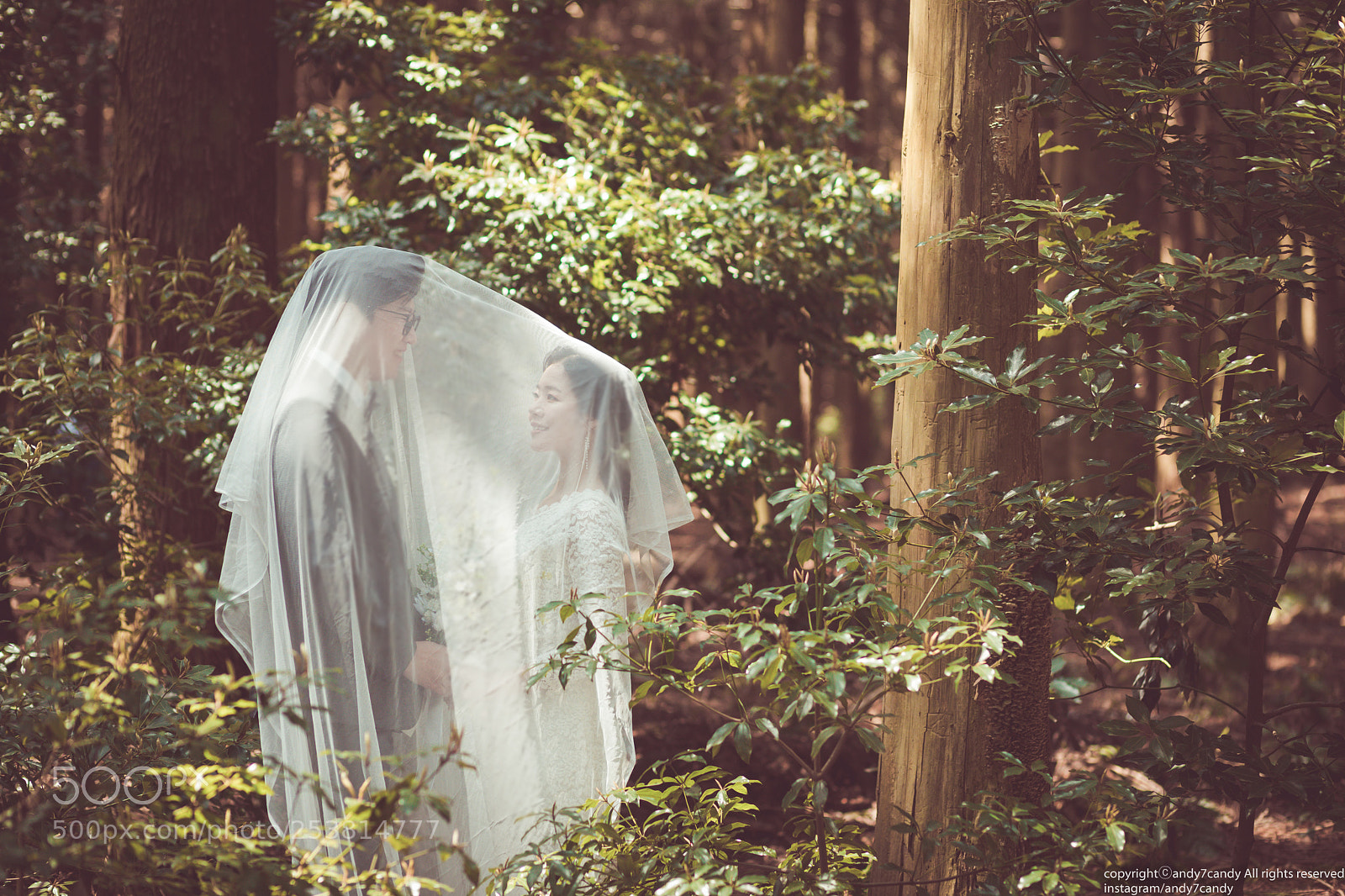 Canon EOS 5D Mark IV sample photo. Forest photography