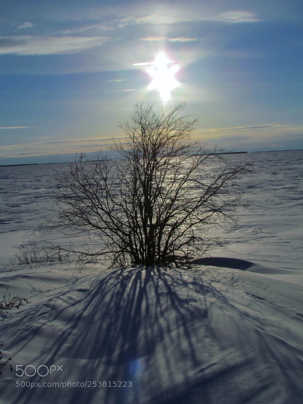 Canon PowerShot SX30 IS sample photo. Spring in the air photography