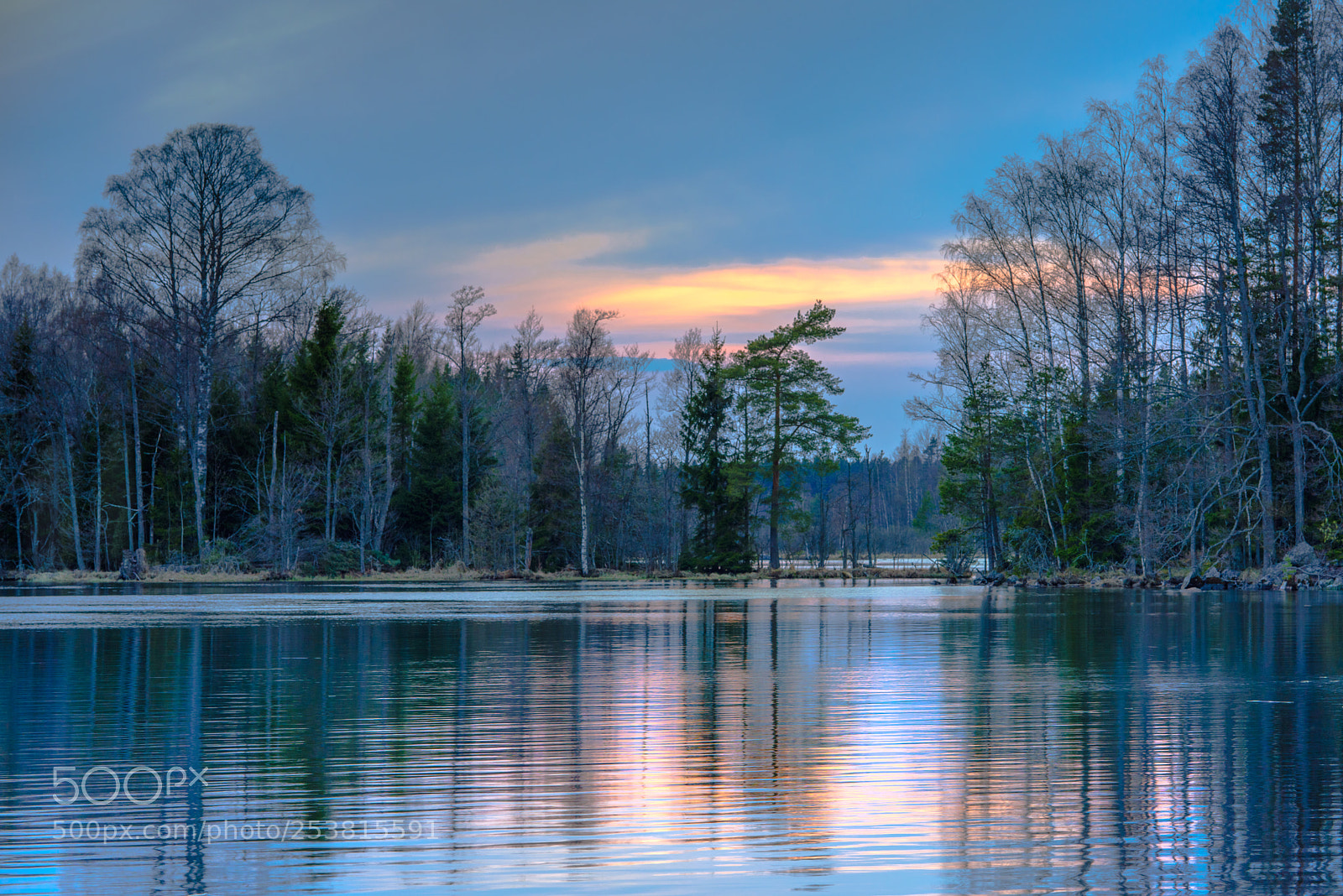 Nikon D810 sample photo. Ambri photography