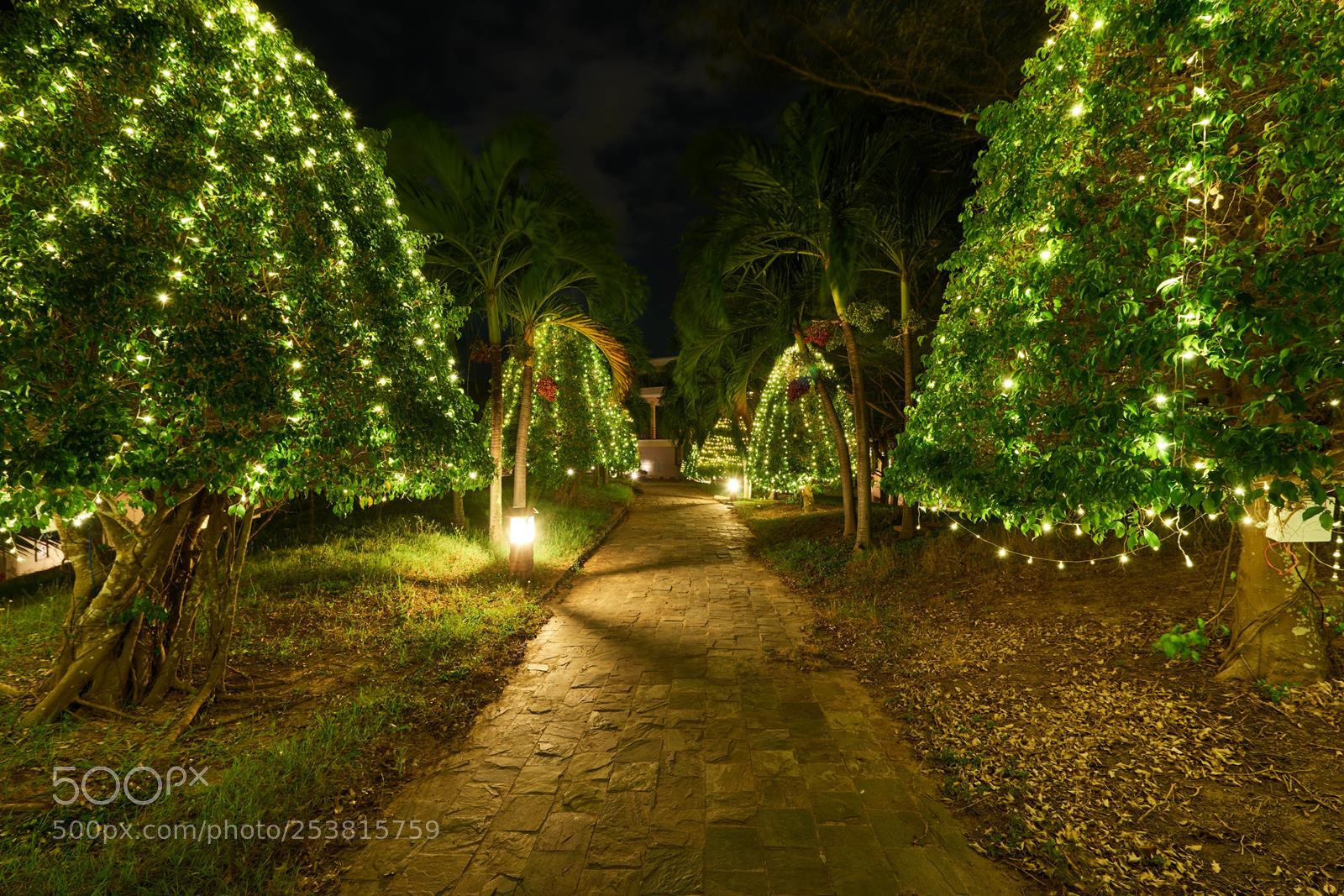 Nikon D800E sample photo. Surround area photography
