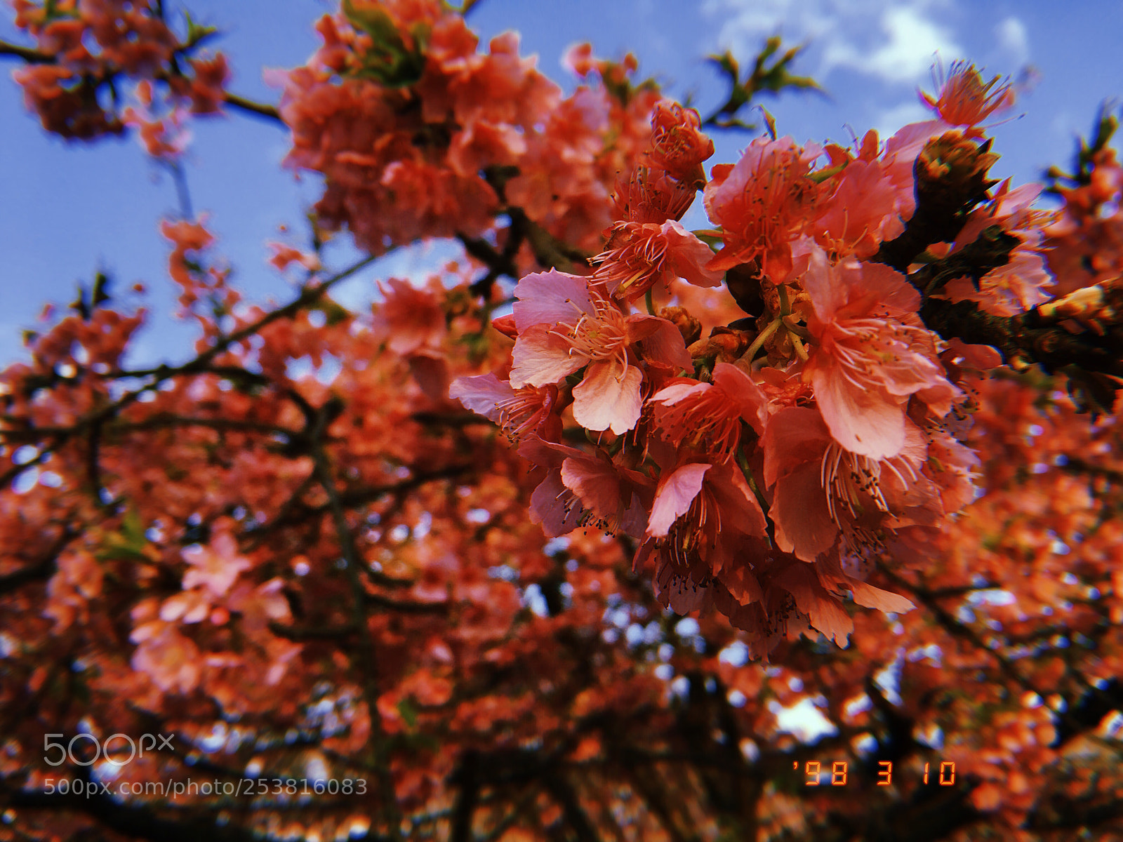 Apple iPhone sample photo. Untitled photography