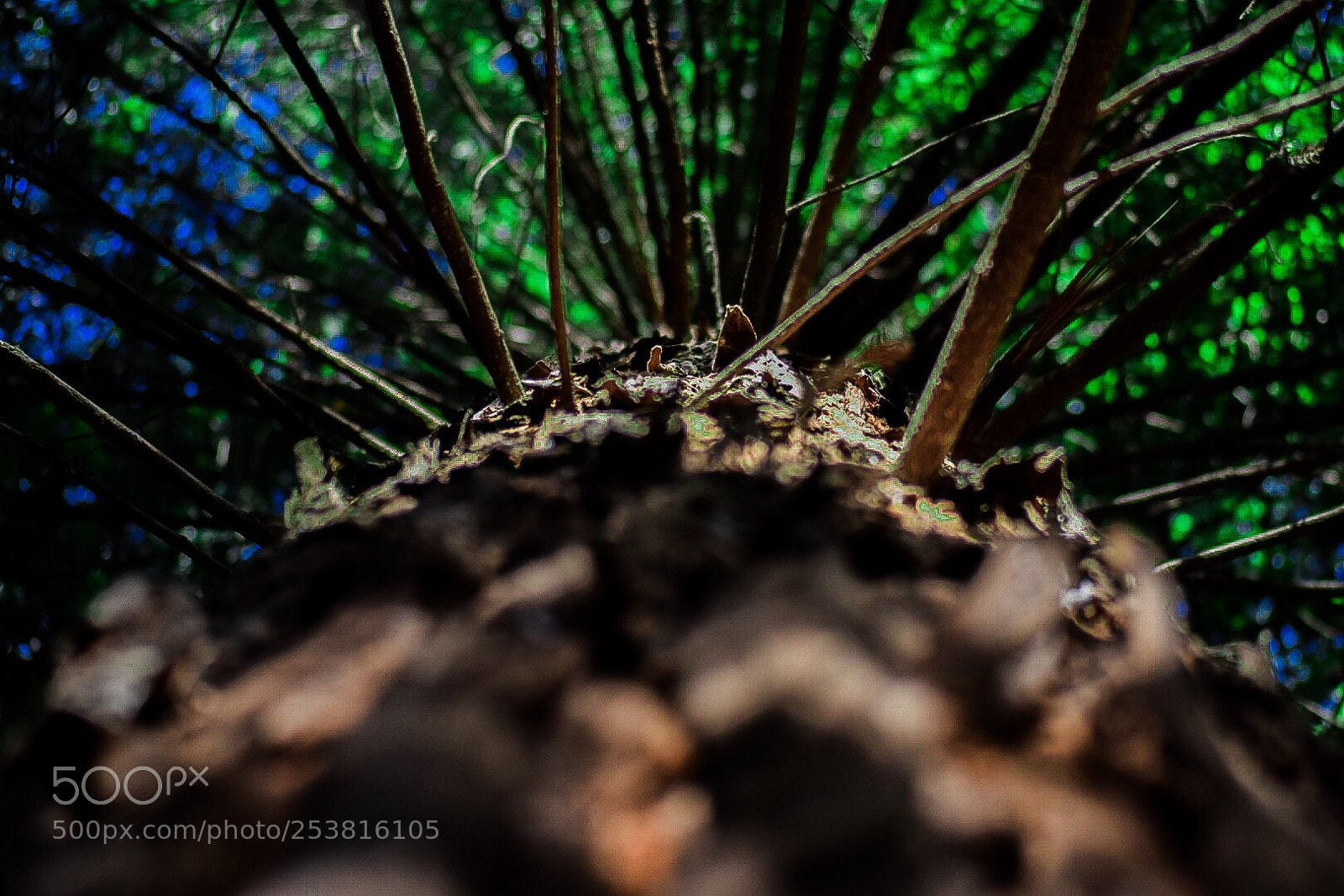 Nikon D5300 sample photo. Porelsuelo photography