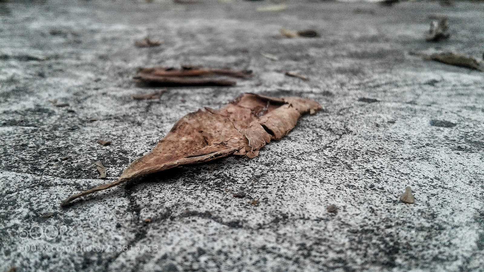 Samsung Galaxy J2 sample photo. Untitled photography