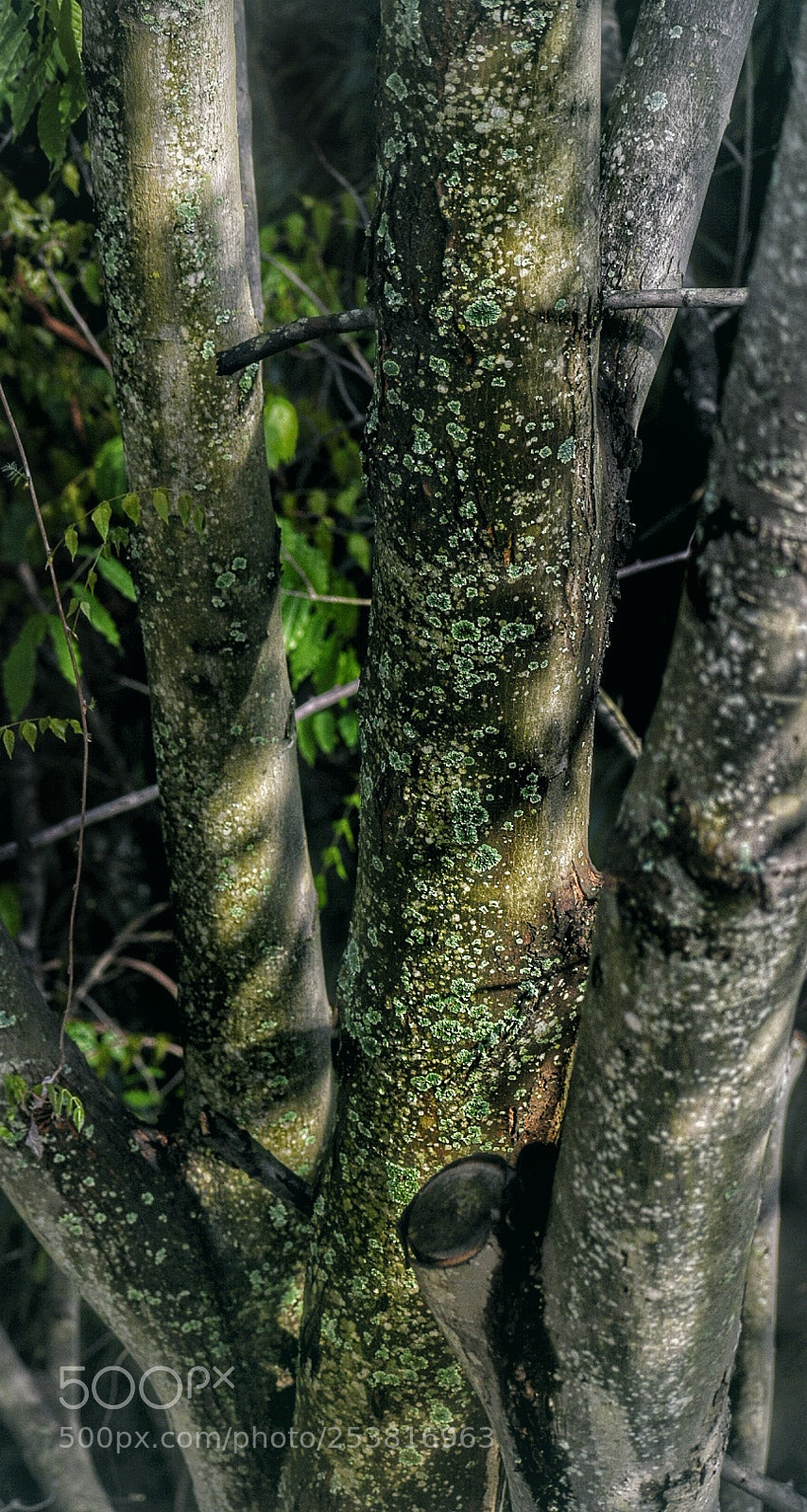 Nikon D3400 sample photo. Untitled photography