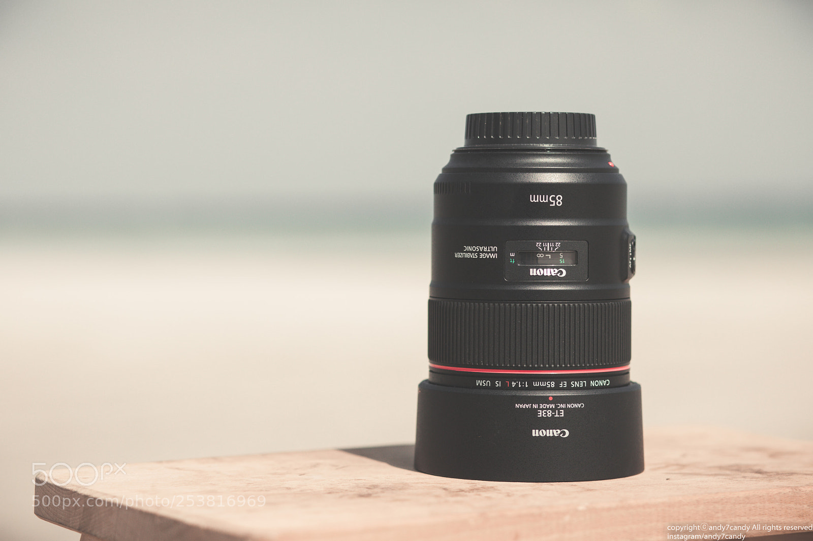Canon EOS 5D Mark IV sample photo. 85mm photography