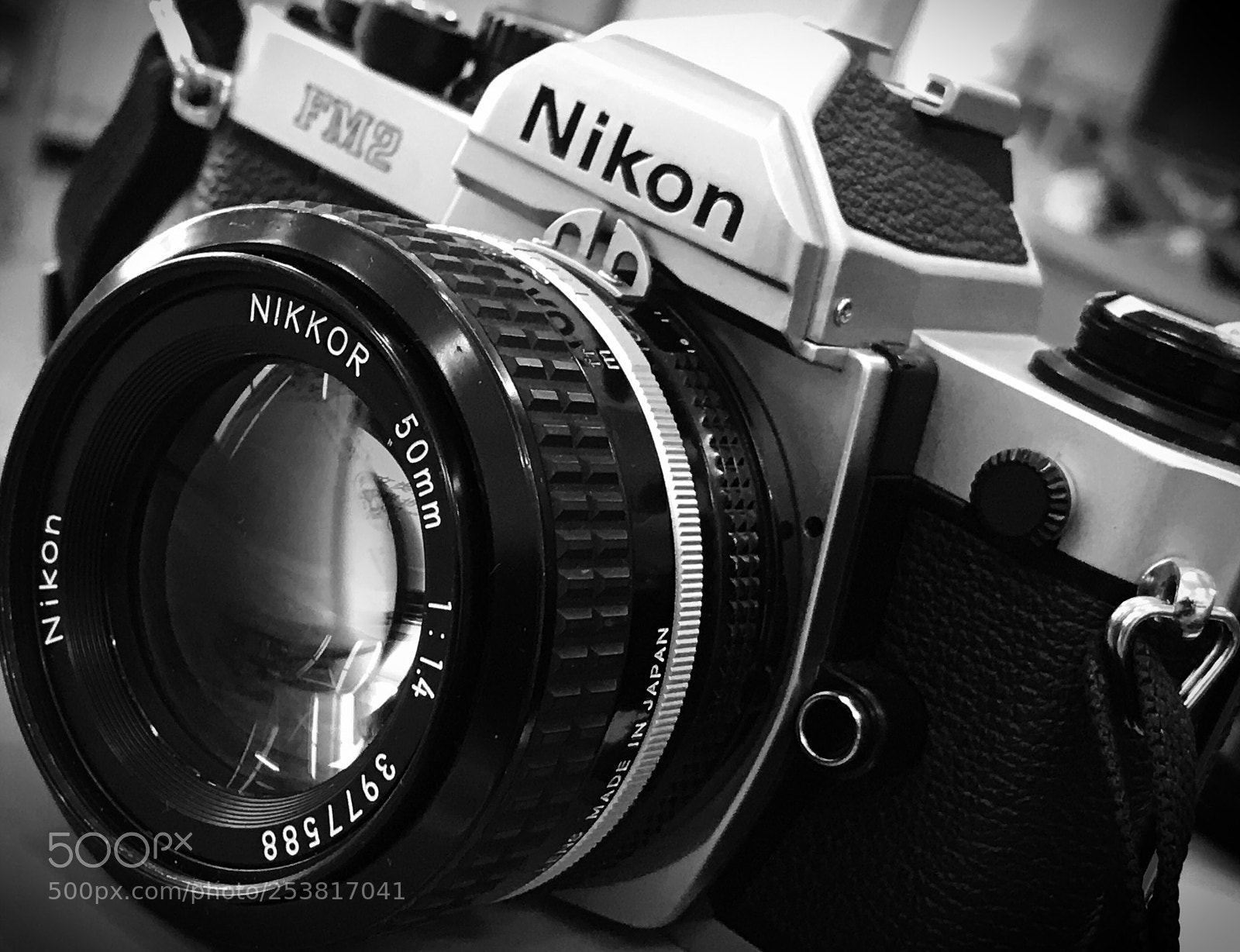 Apple iPhone 7 Plus sample photo. Nikon fm2 my favorite photography