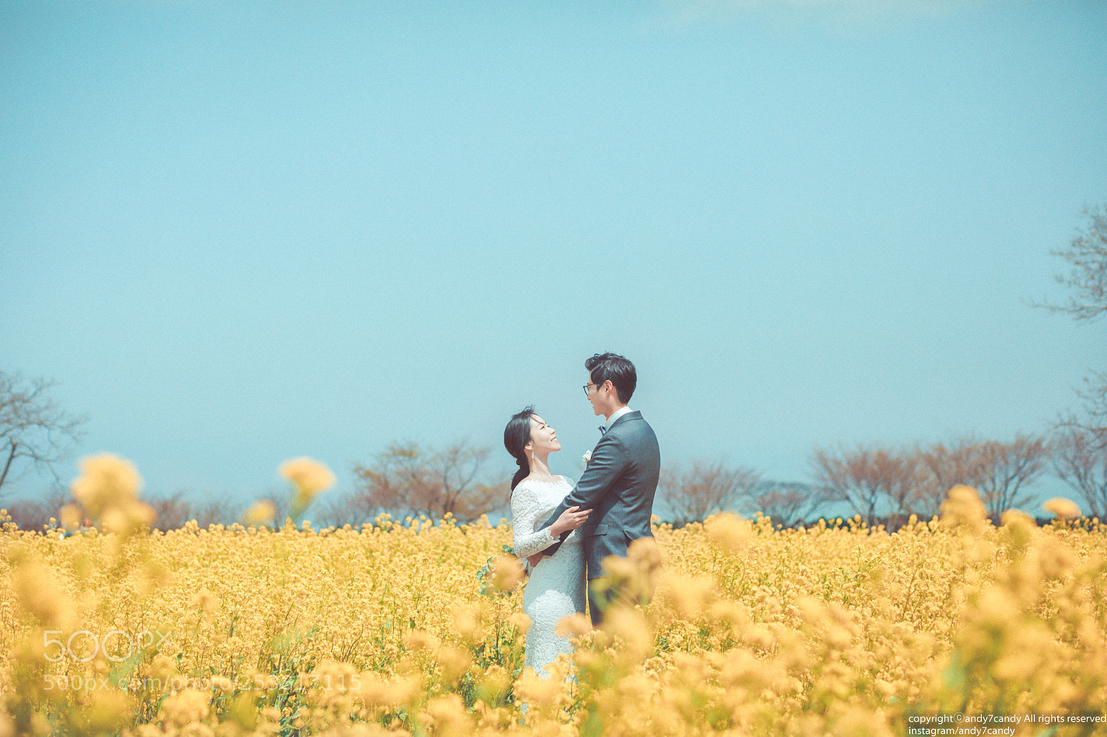 Canon EOS 5D Mark IV sample photo. Yellow photography
