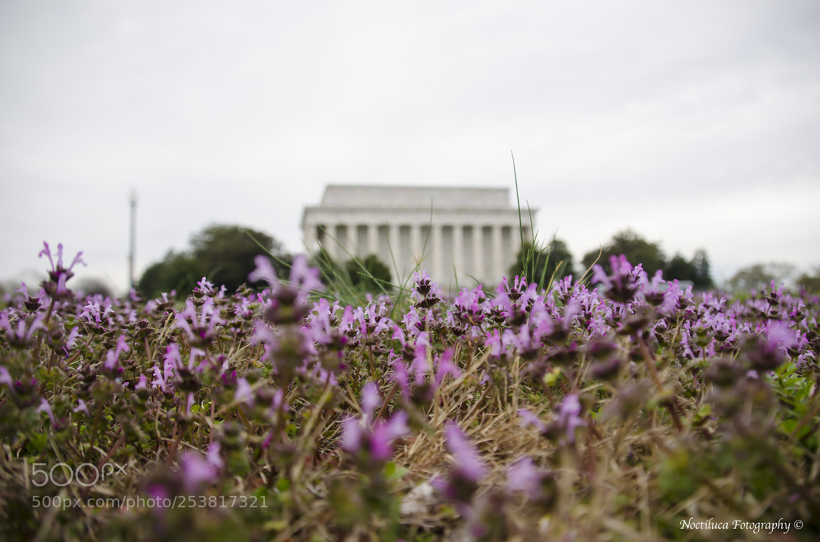 Nikon D5100 sample photo. Lincoln memorial photography