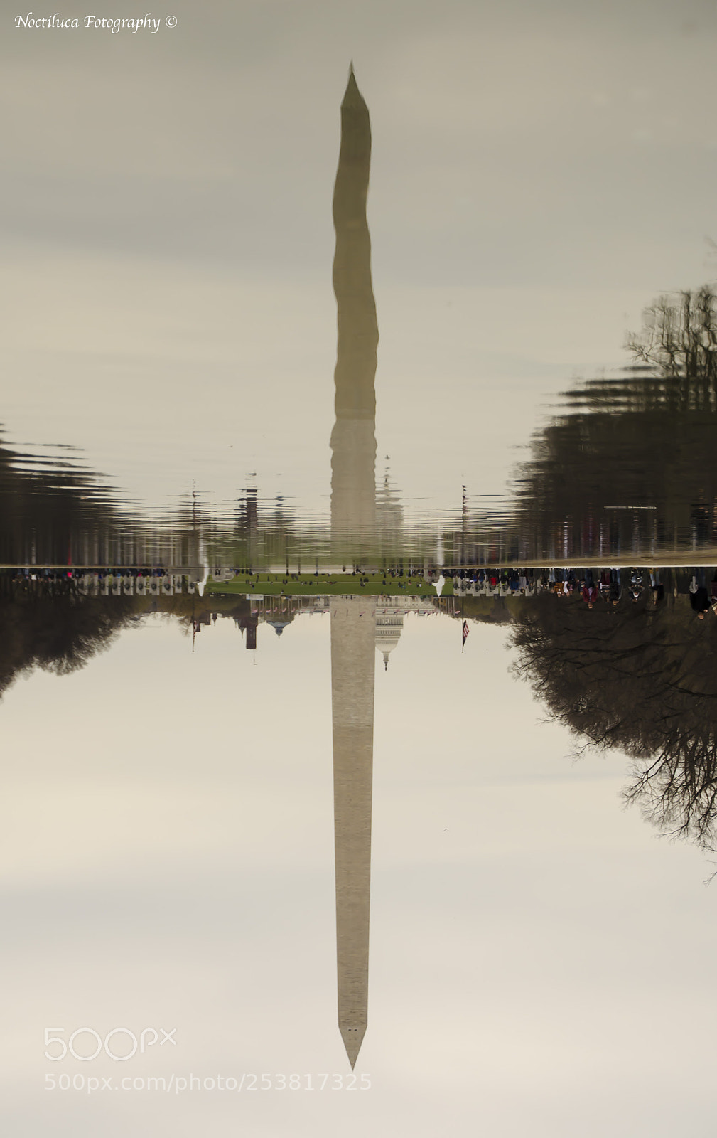 Nikon D5100 sample photo. Reality in the mirror photography