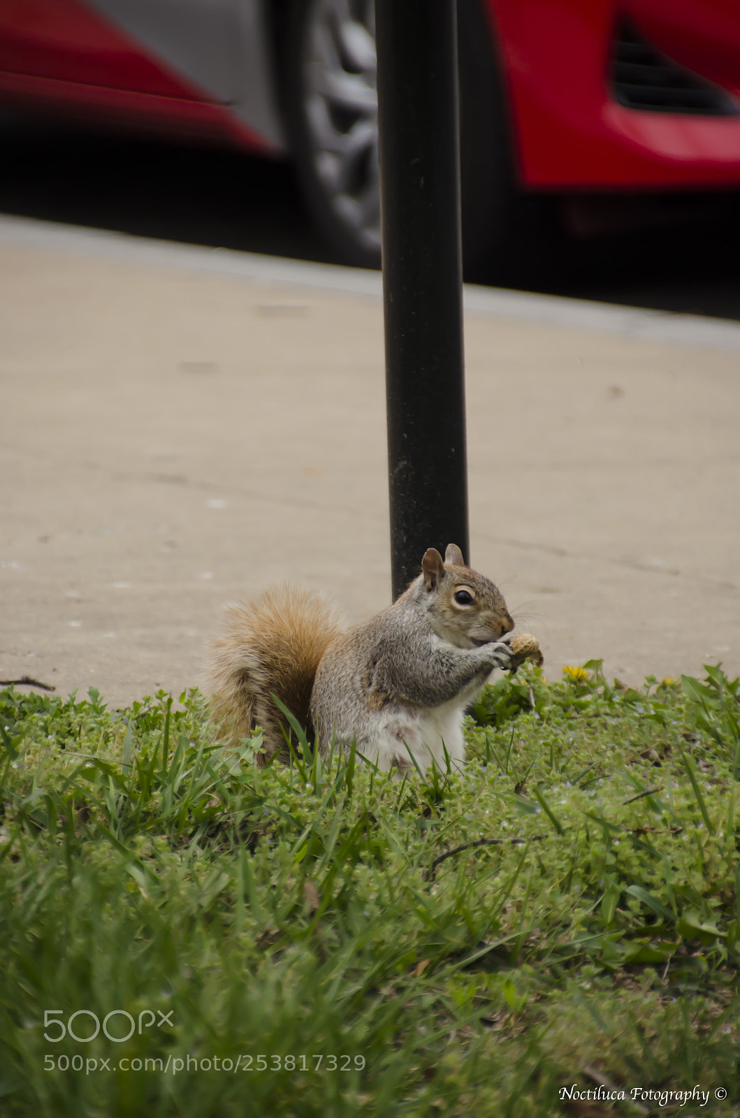 Nikon D5100 sample photo. Snacks photography