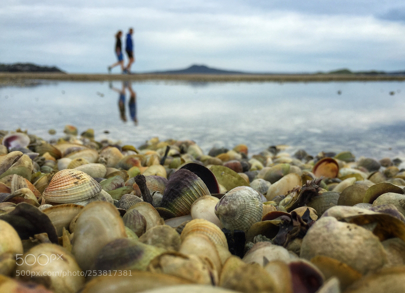 Apple iPhone 6 sample photo. Auckland waterfront photography