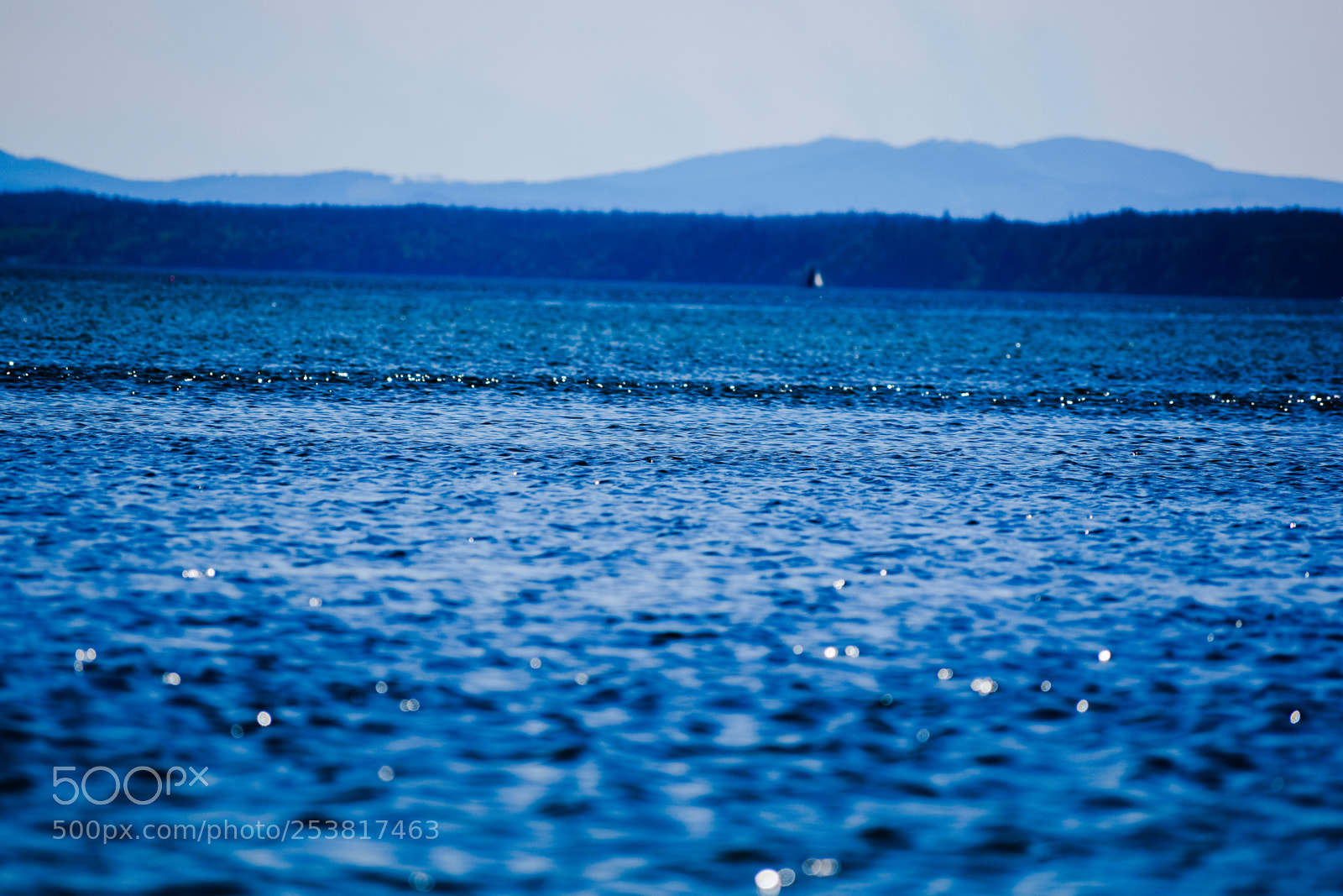 Nikon D3300 sample photo. Look for the beginning photography