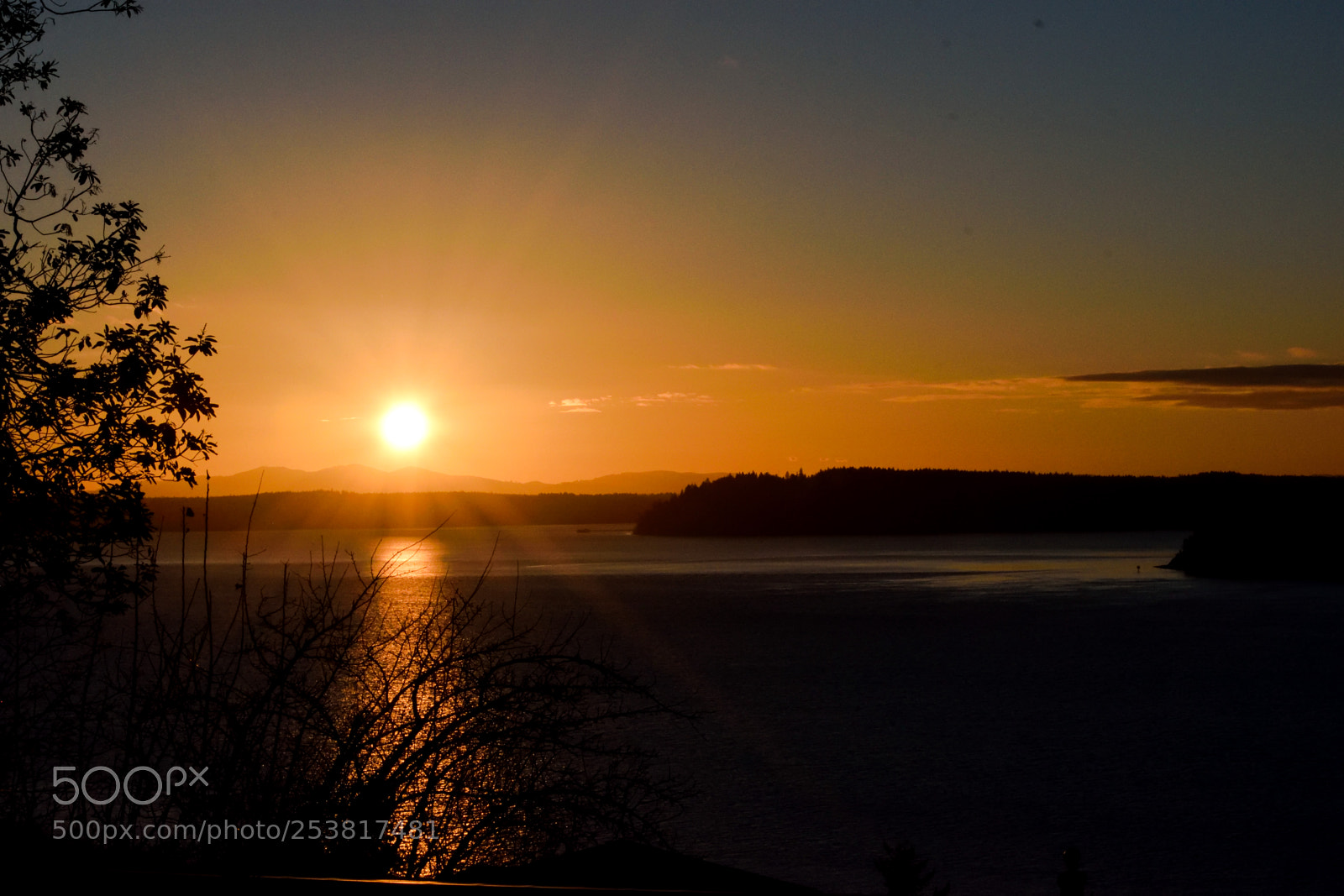 Nikon D3300 sample photo. Sun rays photography