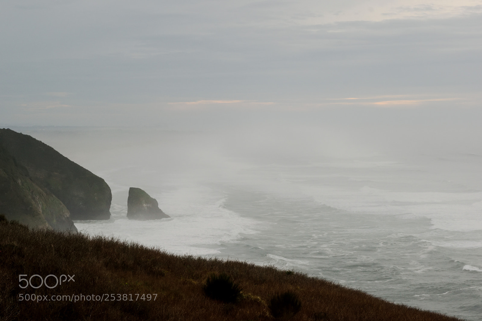 Nikon D3300 sample photo. Oregon coast photography
