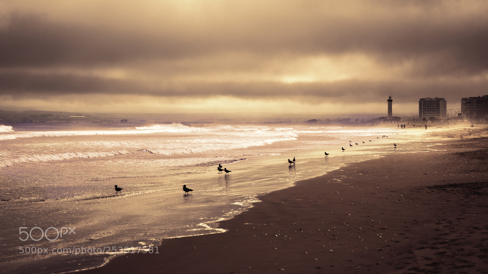 Canon EOS-1D Mark III sample photo. Esperando photography