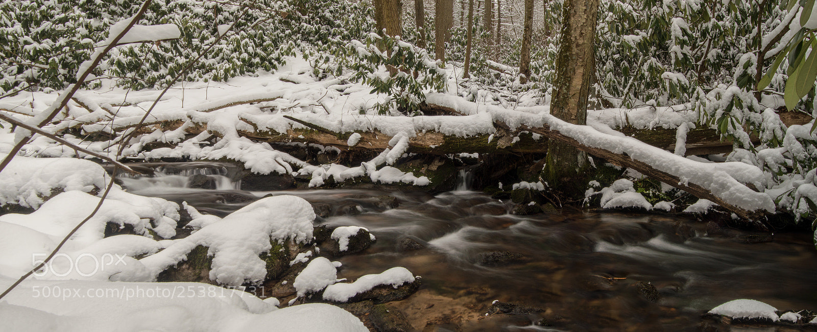 Nikon D3200 sample photo. Shingletown snowfall photography