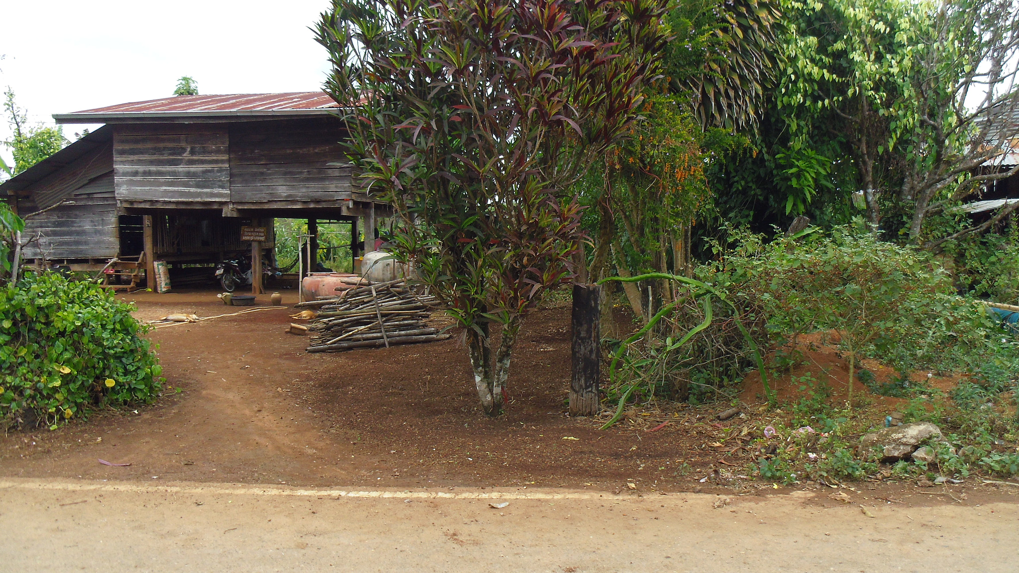 Pentax OPTIO LS465 sample photo. Thai home in farme photography