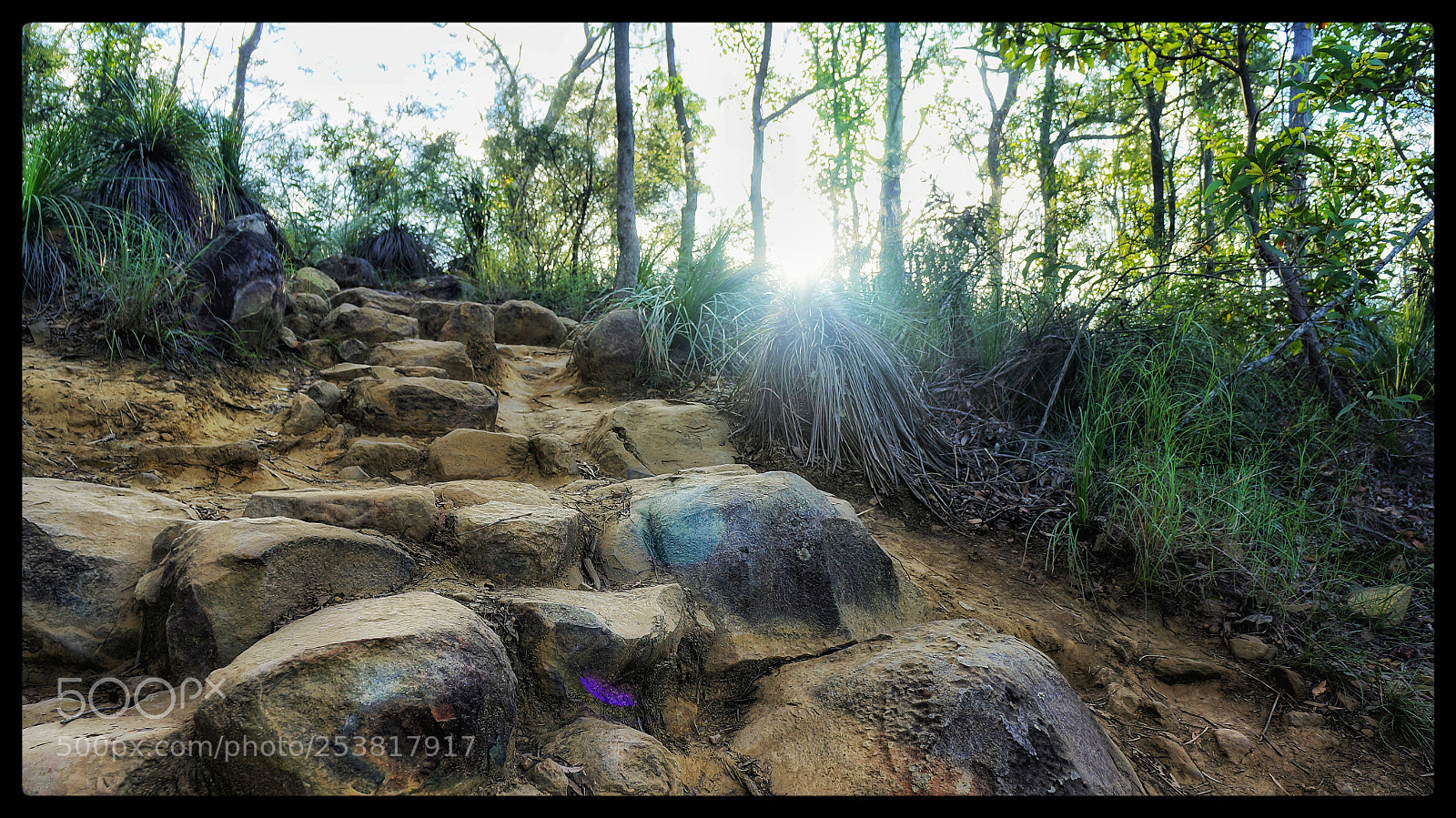 Sony Alpha NEX-5N sample photo. Untitled photography