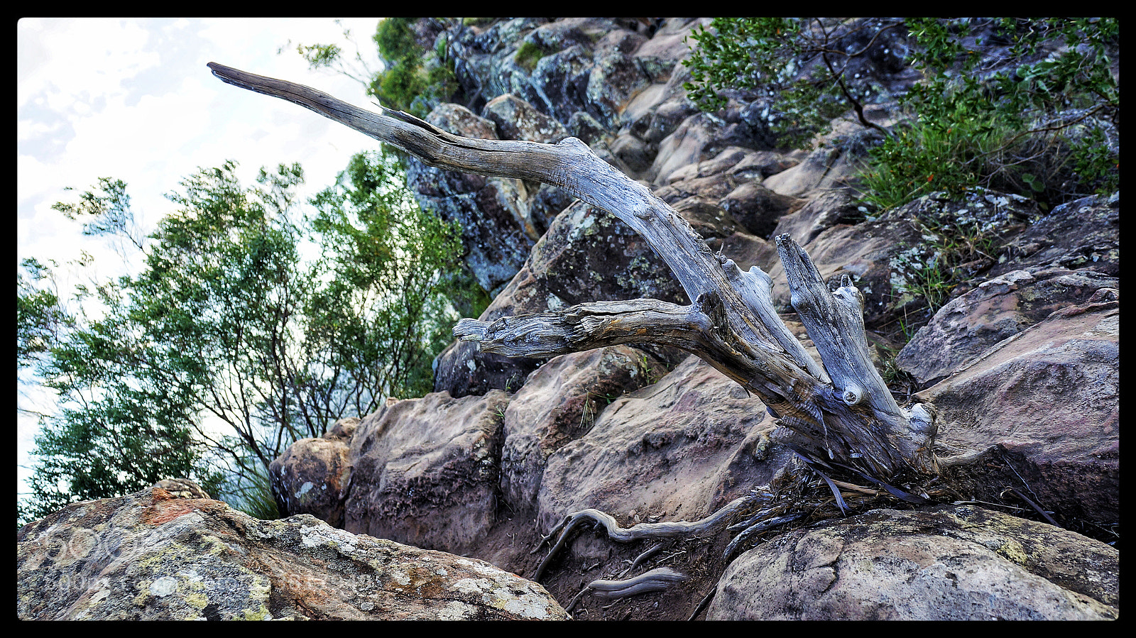 Sony Alpha NEX-5N sample photo. Untitled photography
