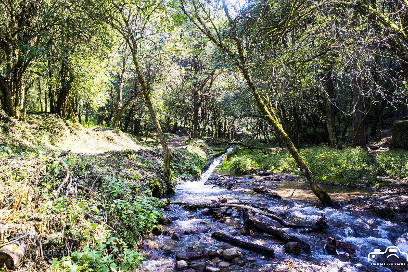 Nikon D3300 sample photo. Rincones de m xico photography