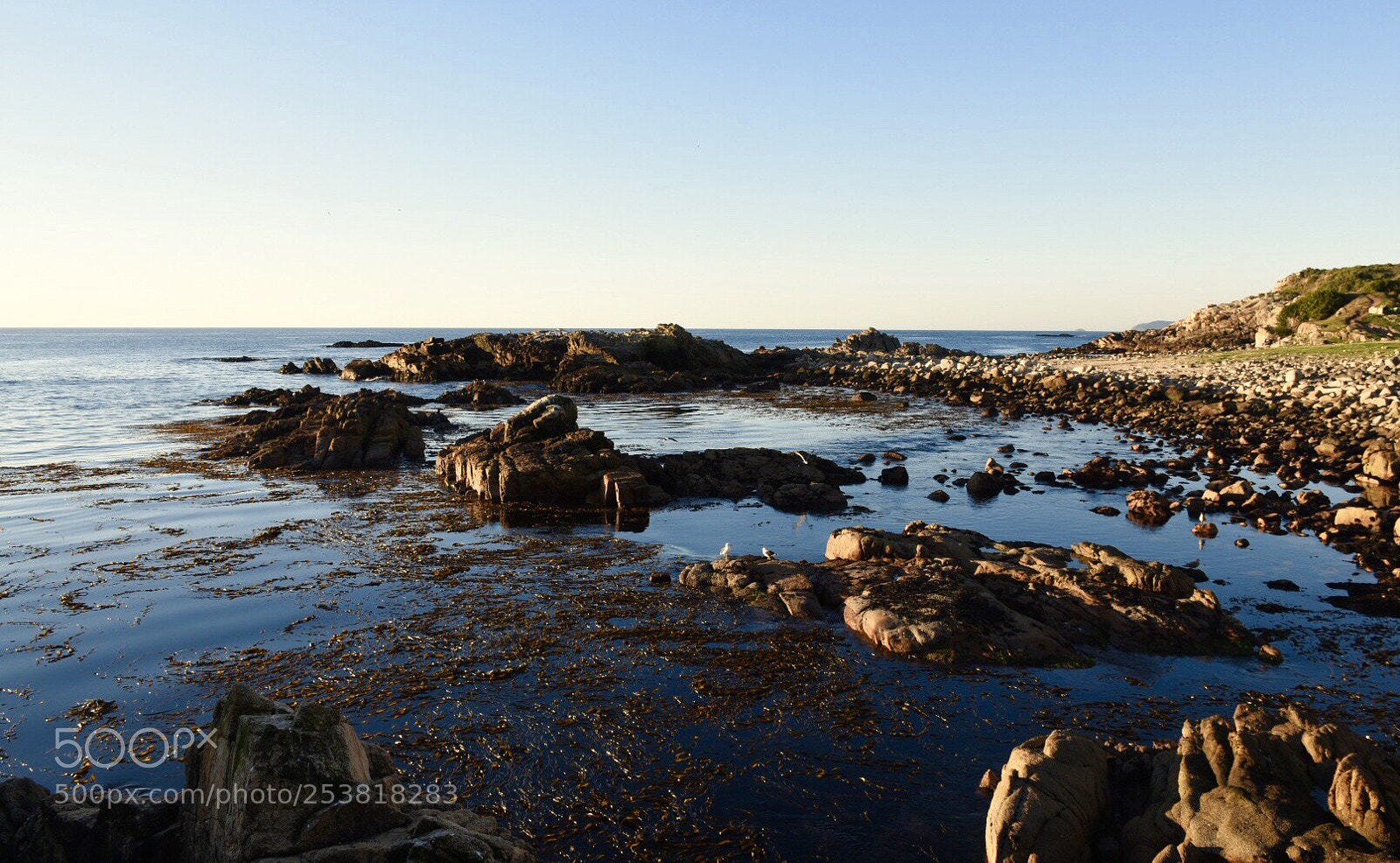 Nikon D5500 sample photo. Caleta chome, pen nsula photography