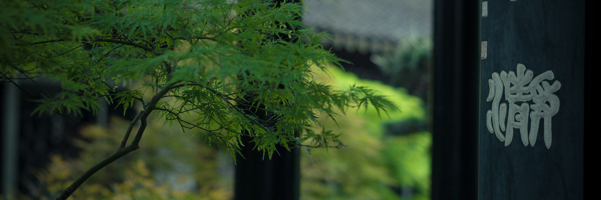 Panasonic Lumix DMC-GX85 (Lumix DMC-GX80 / Lumix DMC-GX7 Mark II) sample photo. 静 photography