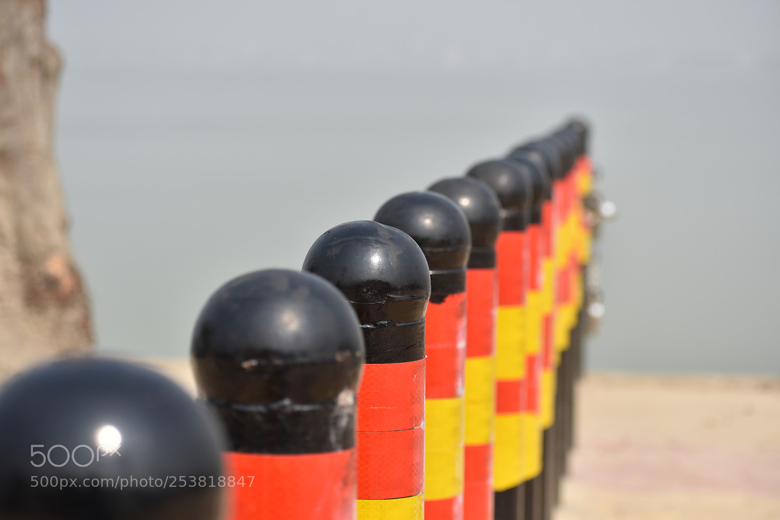 Nikon D3400 sample photo. #randomclick2 photography