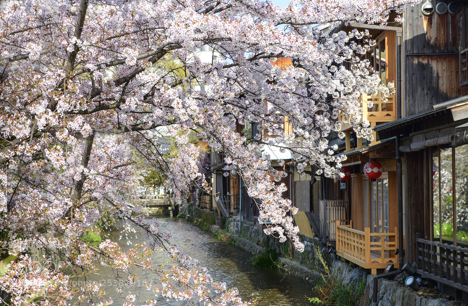 Nikon D850 sample photo. Gion kyoto (祇園, ぎおん) photography