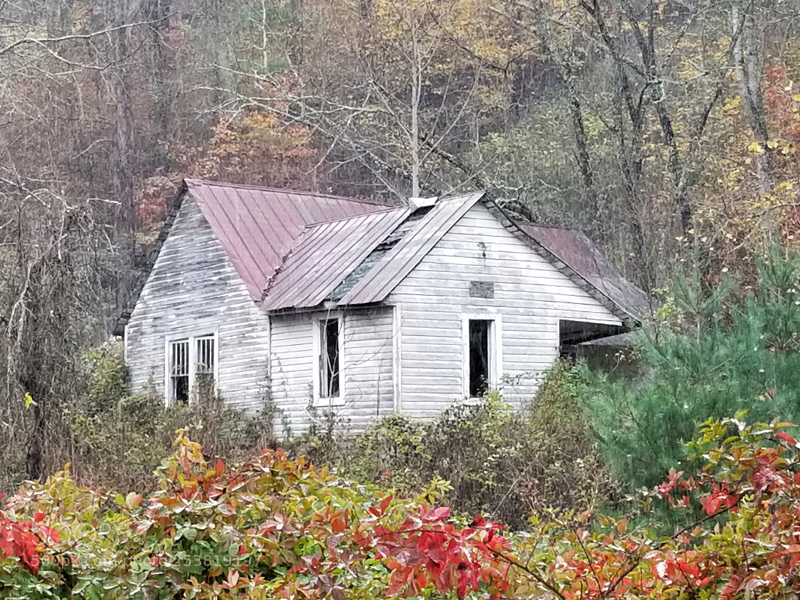 Samsung Galaxy S8+ sample photo. Blue ridge parkway photography