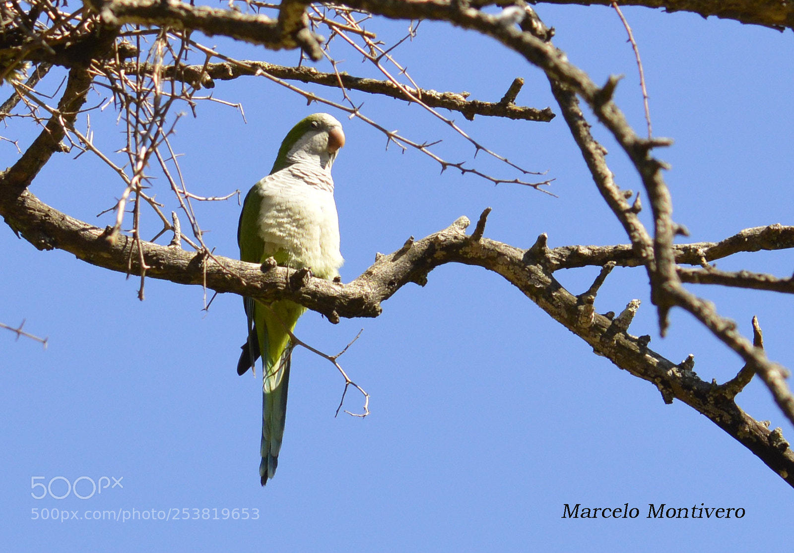 Nikon D3200 sample photo. Cerro colorado, cordoba, argentina photography