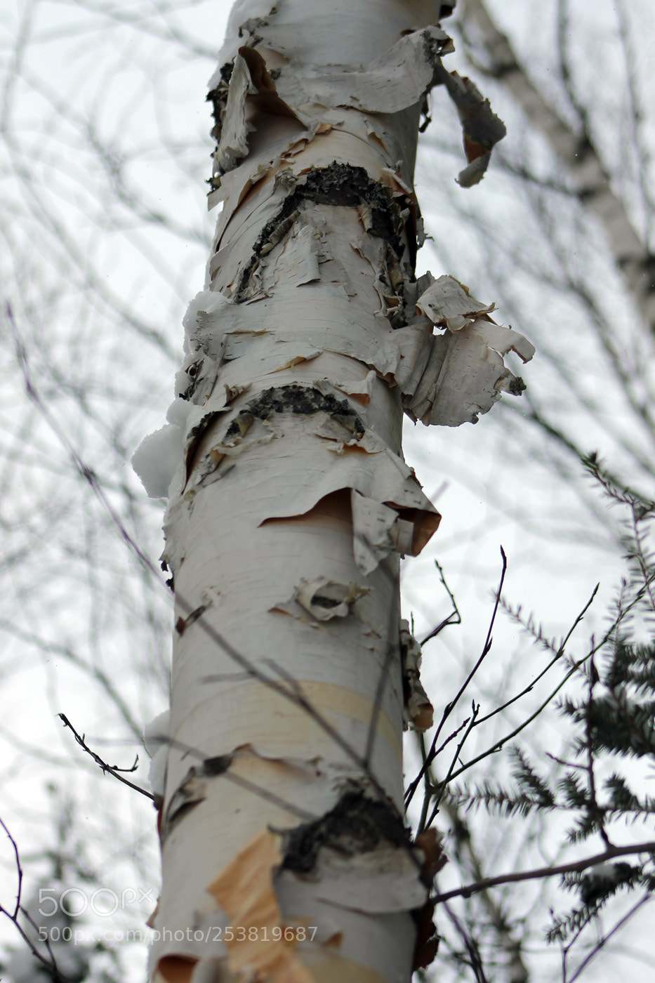 Canon EOS 1100D (EOS Rebel T3 / EOS Kiss X50) sample photo. Img photography
