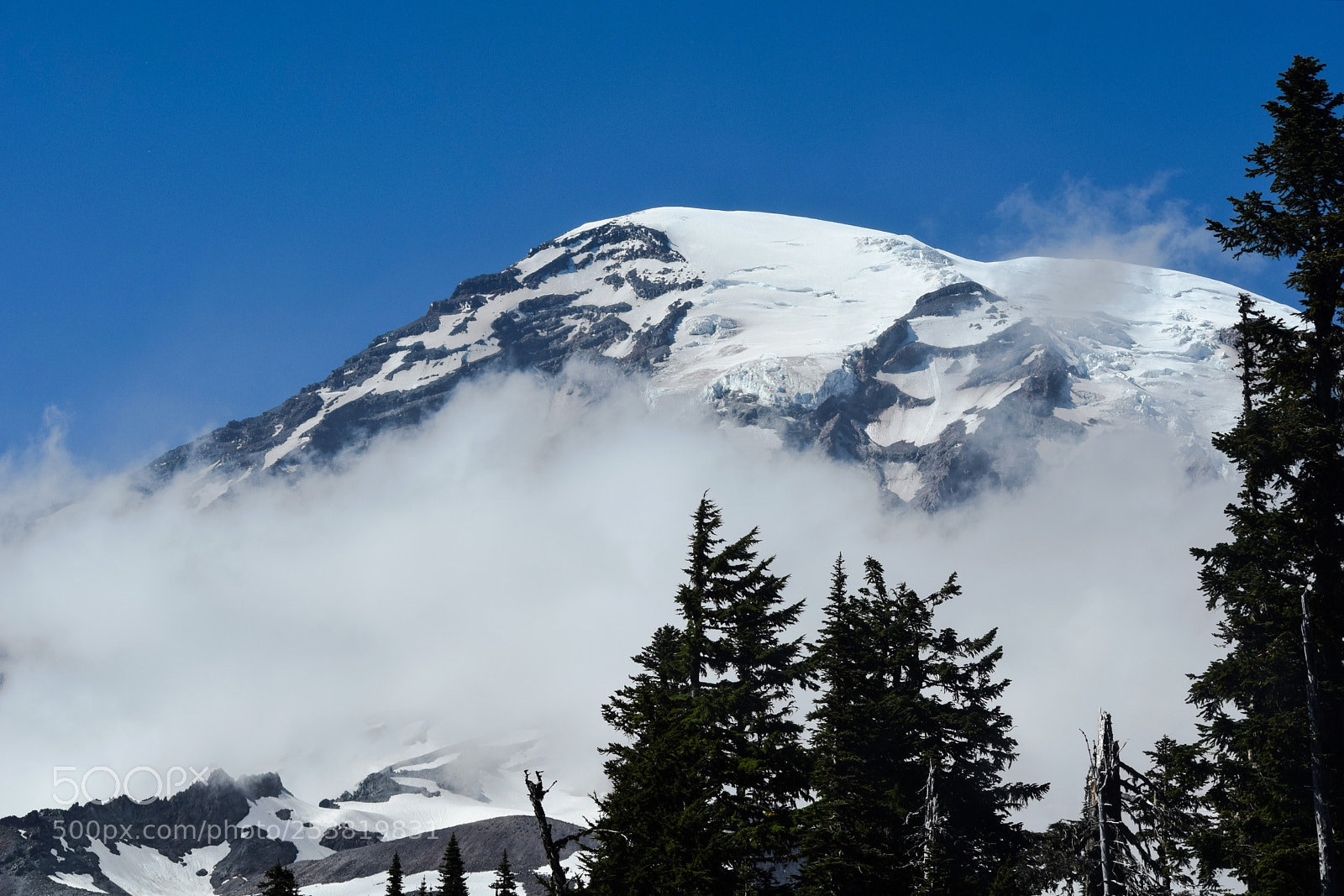 Nikon D3300 sample photo. Mt rainier photography
