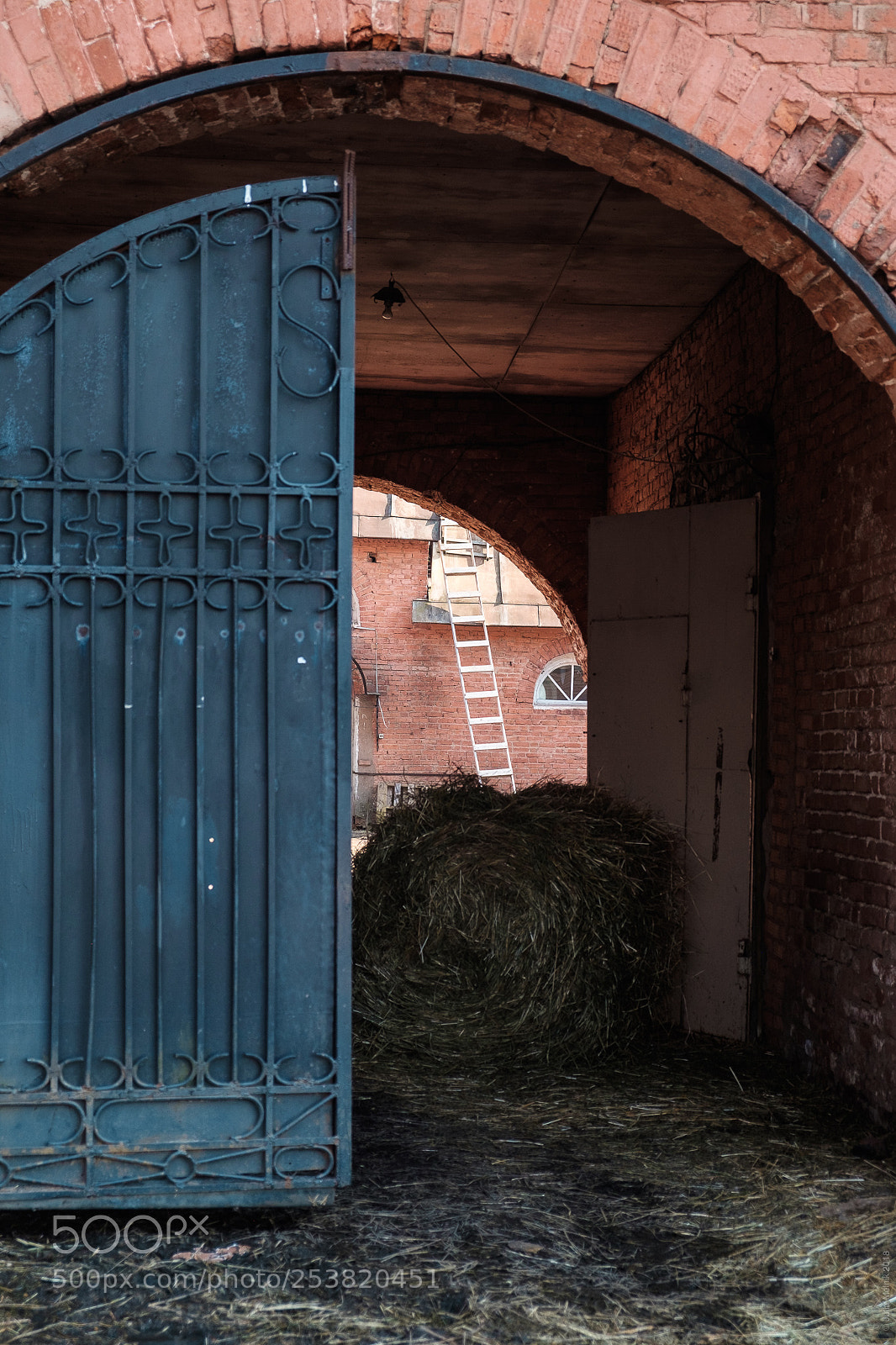Fujifilm X-T10 sample photo. Apraksins' estate - door 7 photography