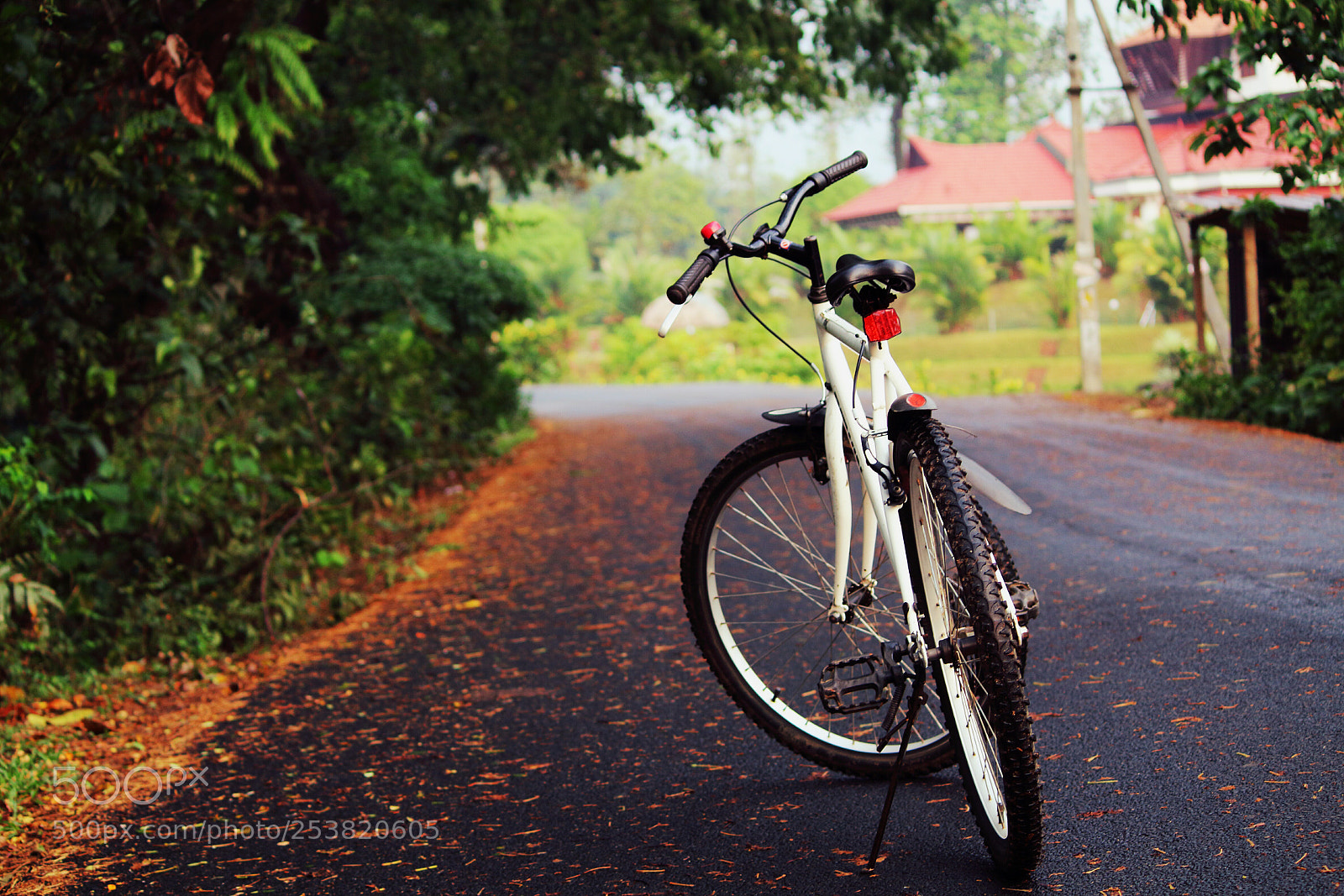 Canon EOS 1300D (EOS Rebel T6 / EOS Kiss X80) sample photo. The bicycle photography