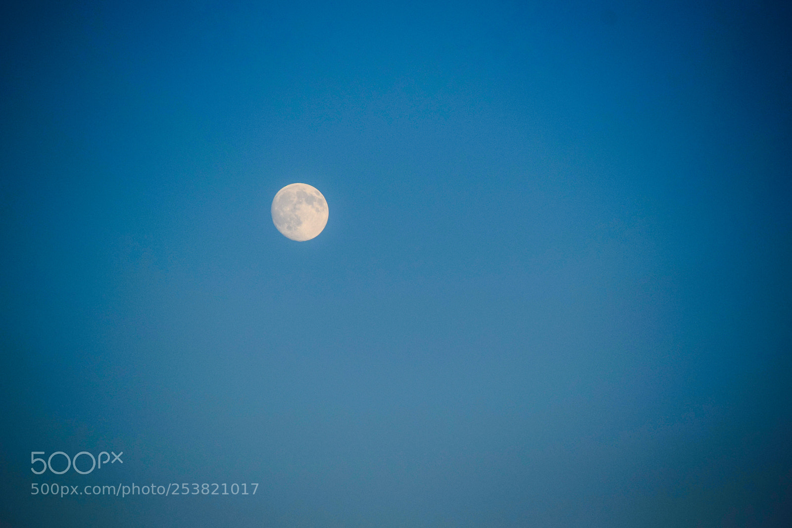 Nikon D3300 sample photo. Moon at day photography