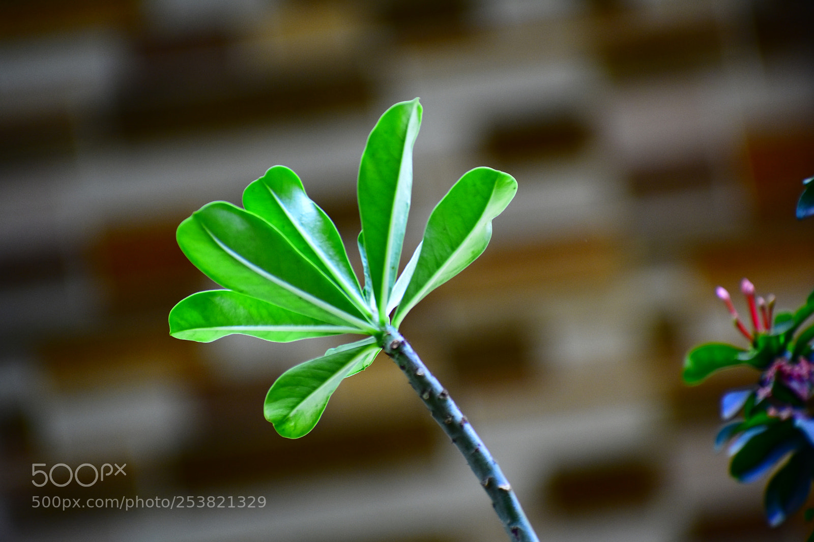 Nikon D3400 sample photo. #greenisclean1 photography