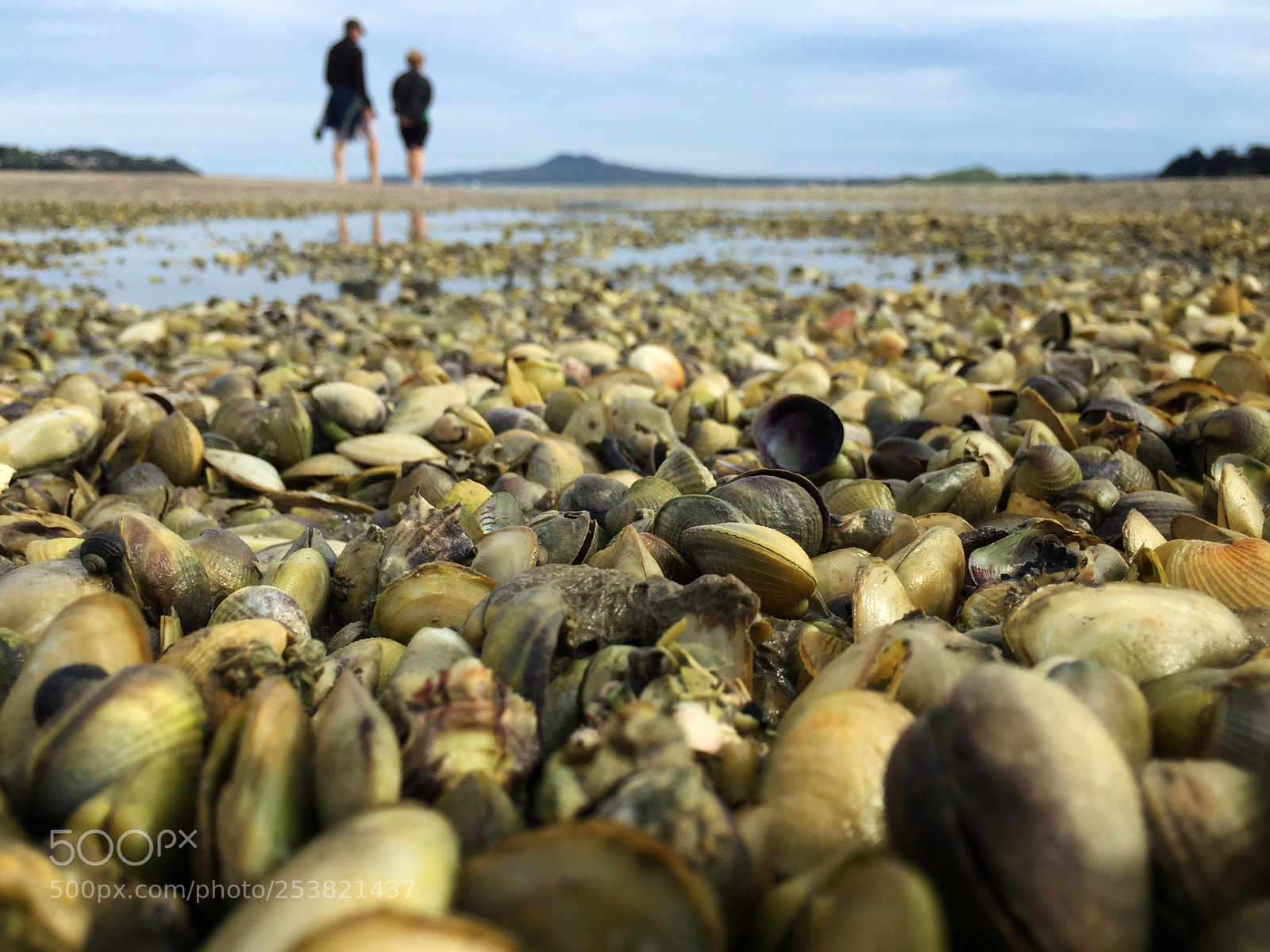 Apple iPhone 6 sample photo. The shell  beach photography