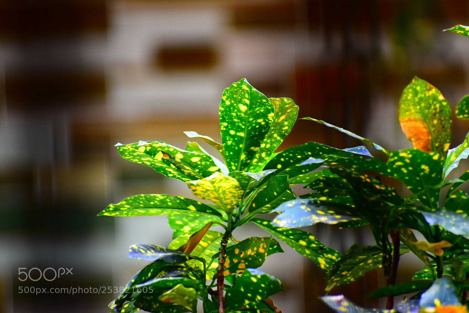 Nikon D3400 sample photo. #greenisclean2 photography