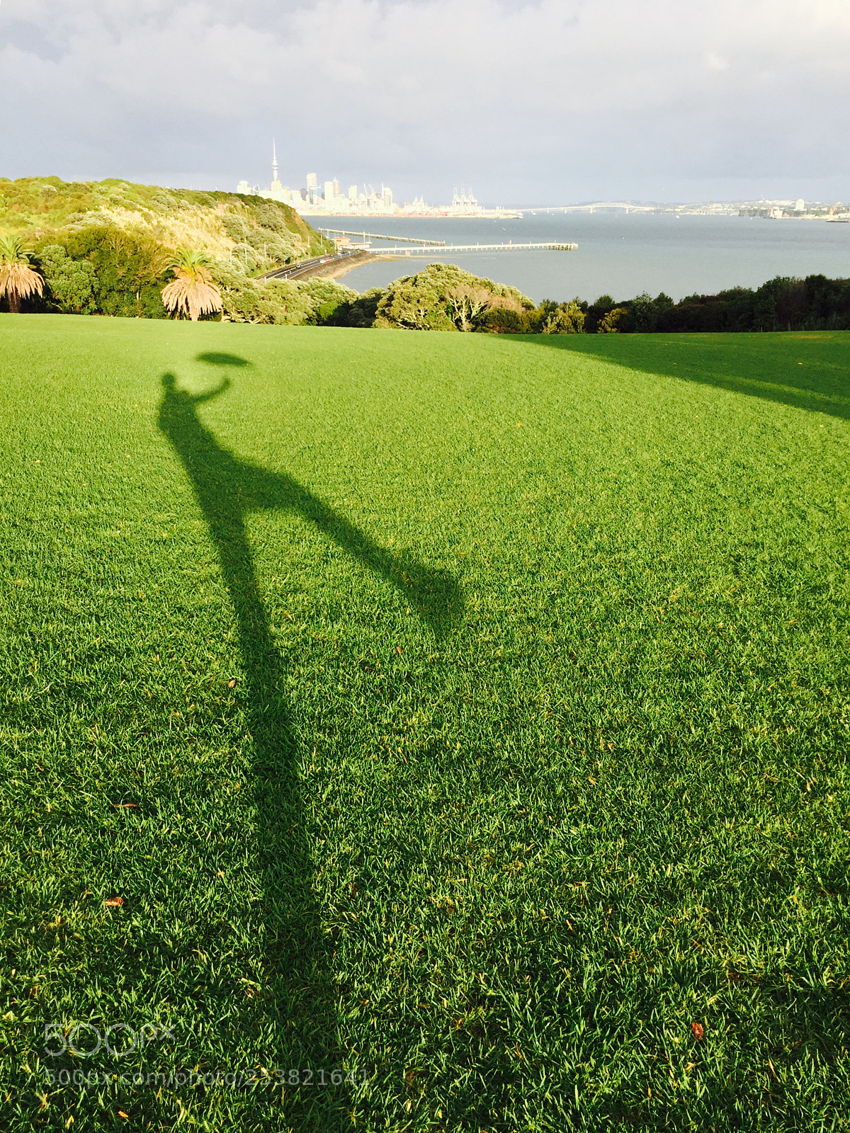 Apple iPhone 6 sample photo. Good morning auckland photography