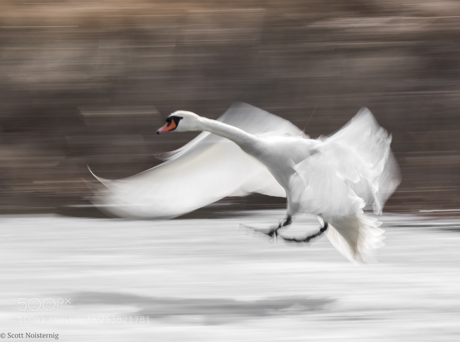Canon EOS 7D Mark II sample photo. My very first blur !  photography