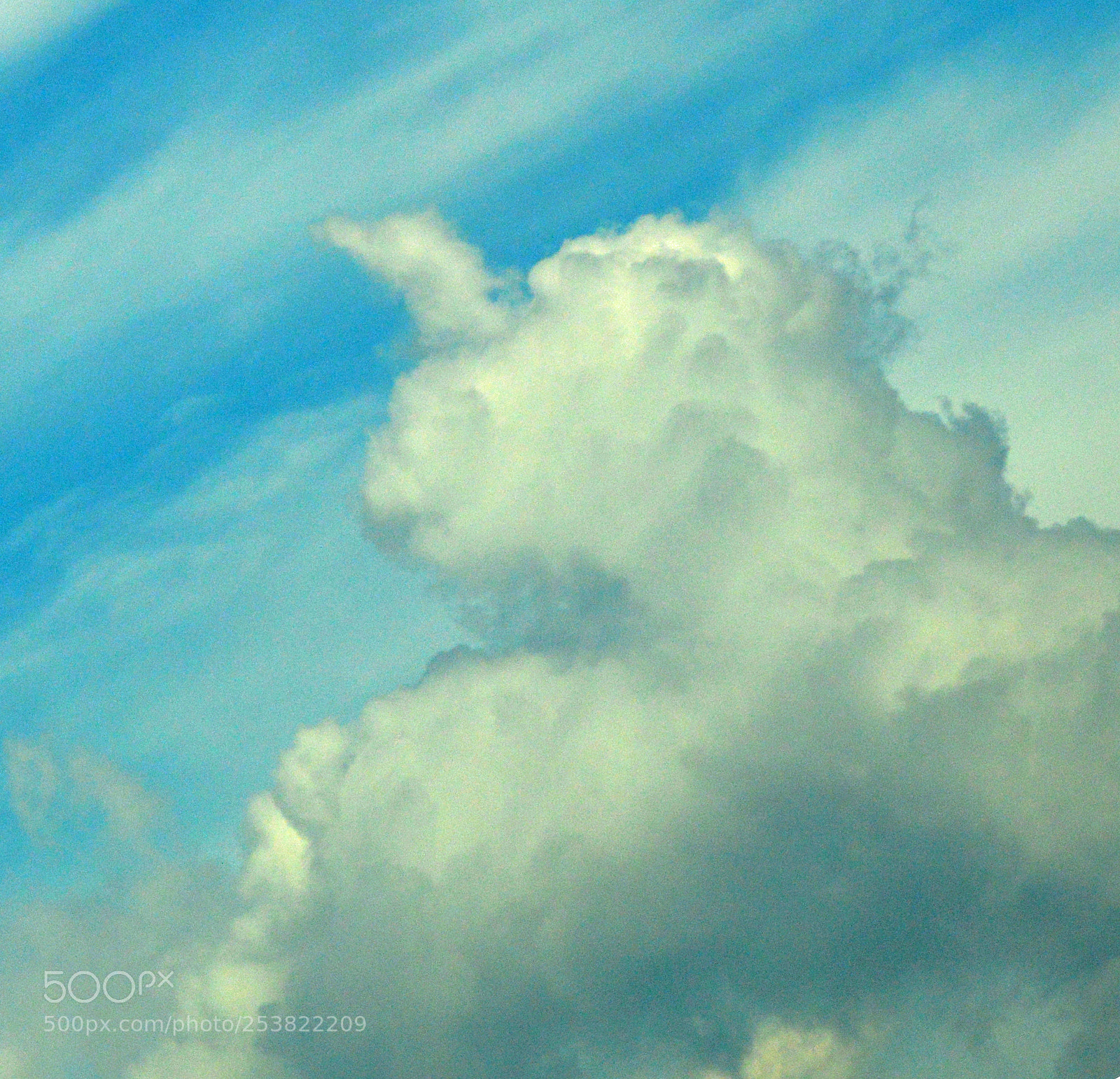 Nikon D3200 sample photo. Laughing cloud giant photography