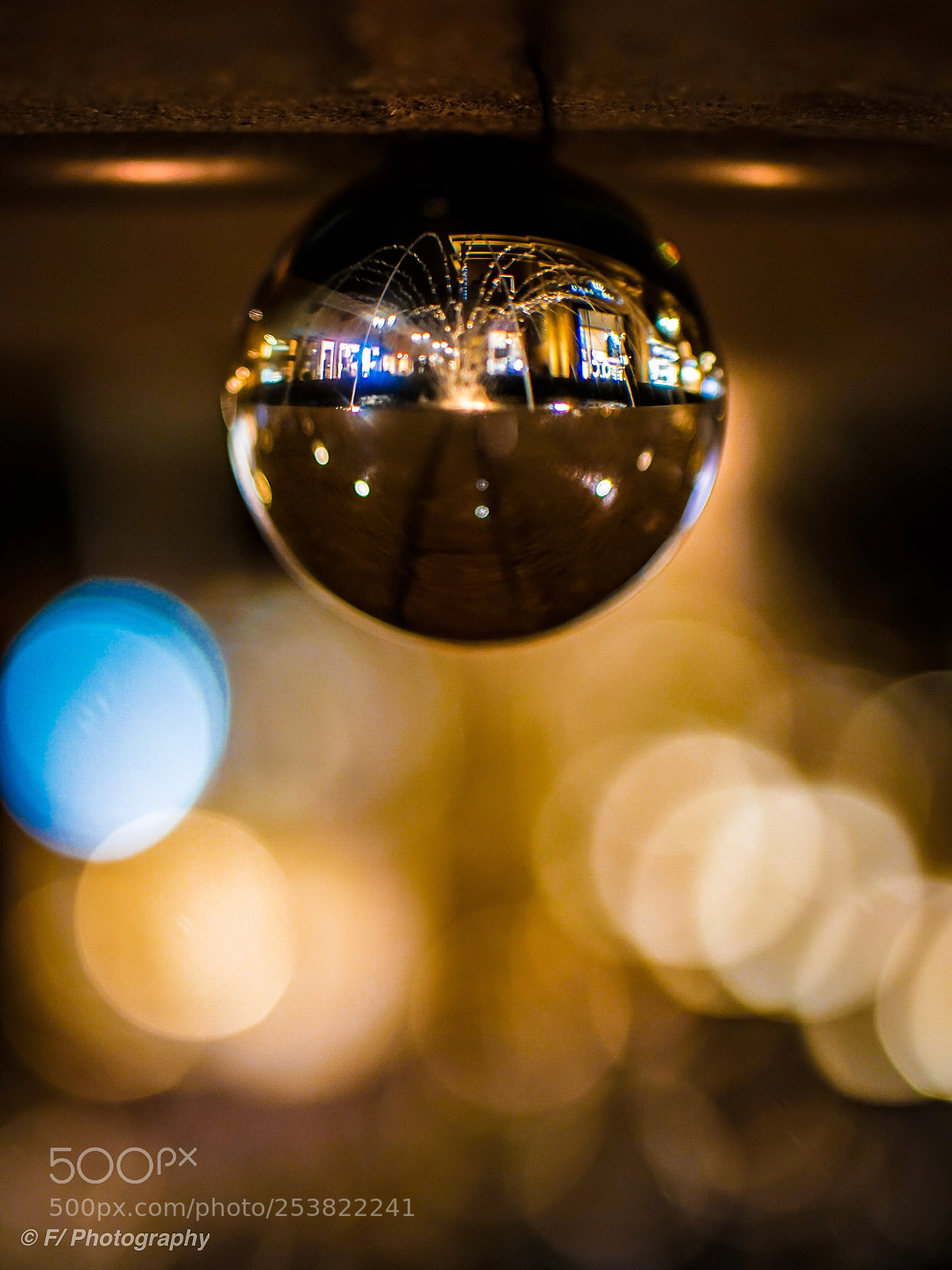 Sony a6300 sample photo. Upside down, outside in photography