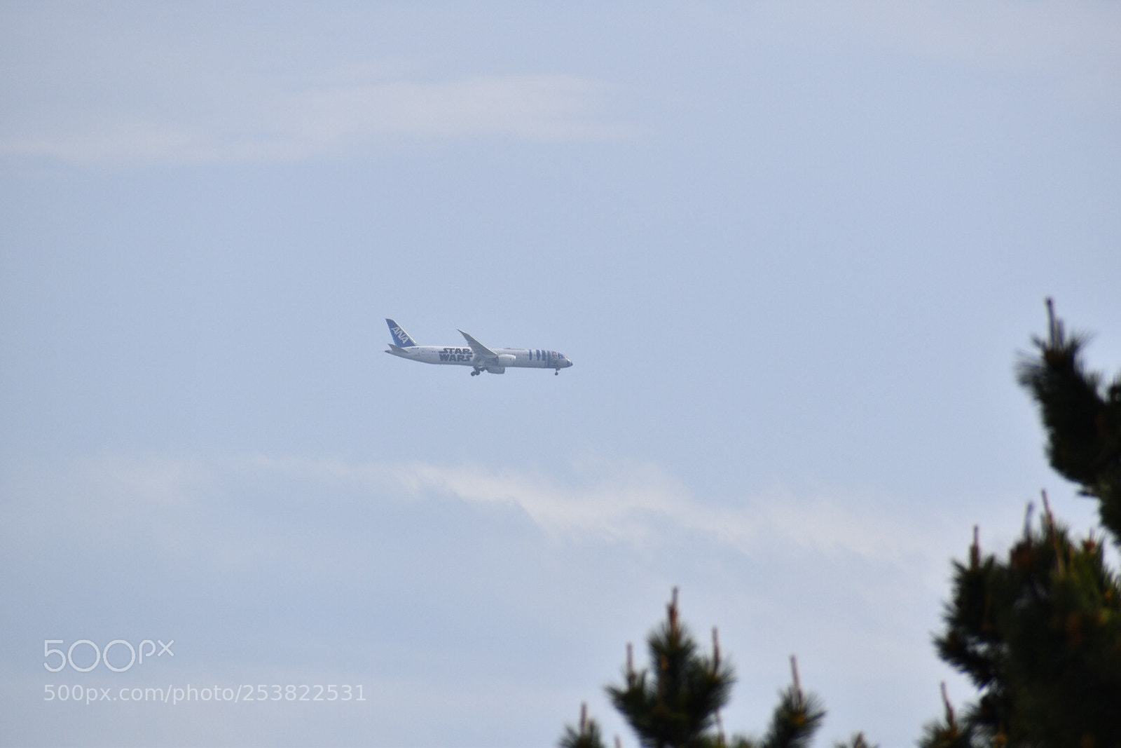 Nikon D5600 sample photo. Airplane ana photography
