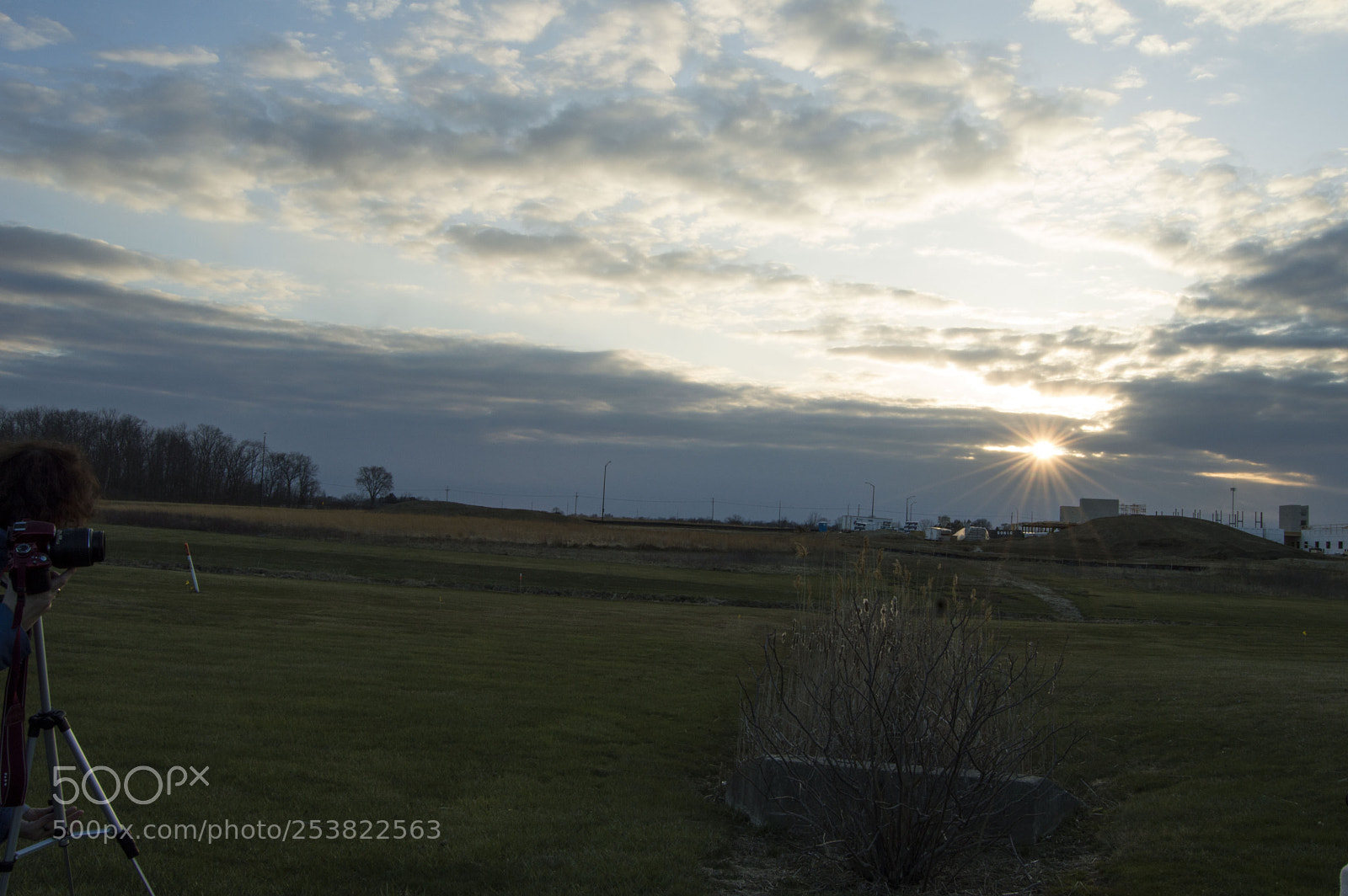 Nikon D3200 sample photo. Sunburst photography