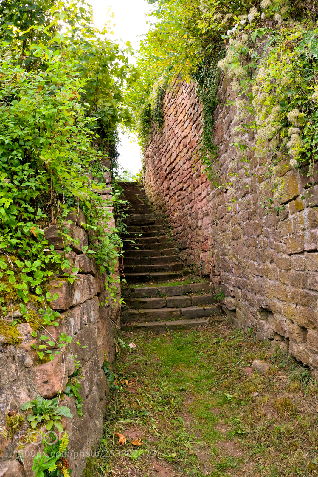 Nikon D3300 sample photo. Secret staircase photography