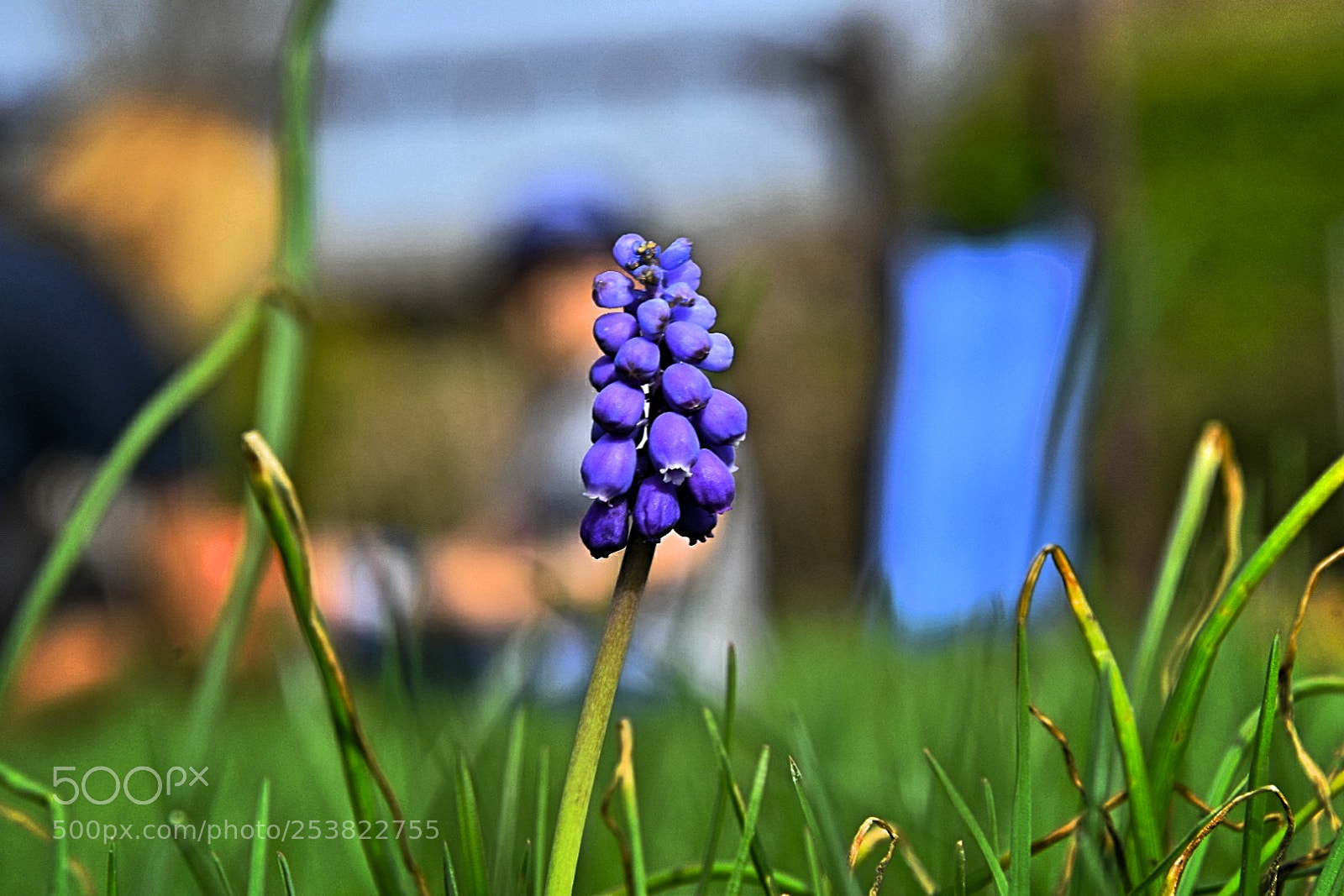 Nikon D5300 sample photo. Was machen die da photography