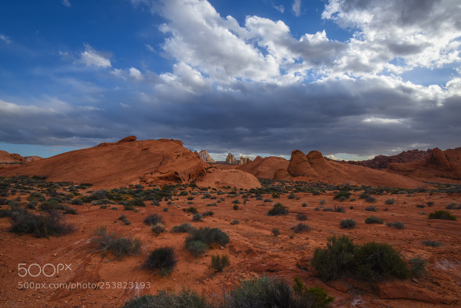 Nikon D810 sample photo. Valley of fire photography