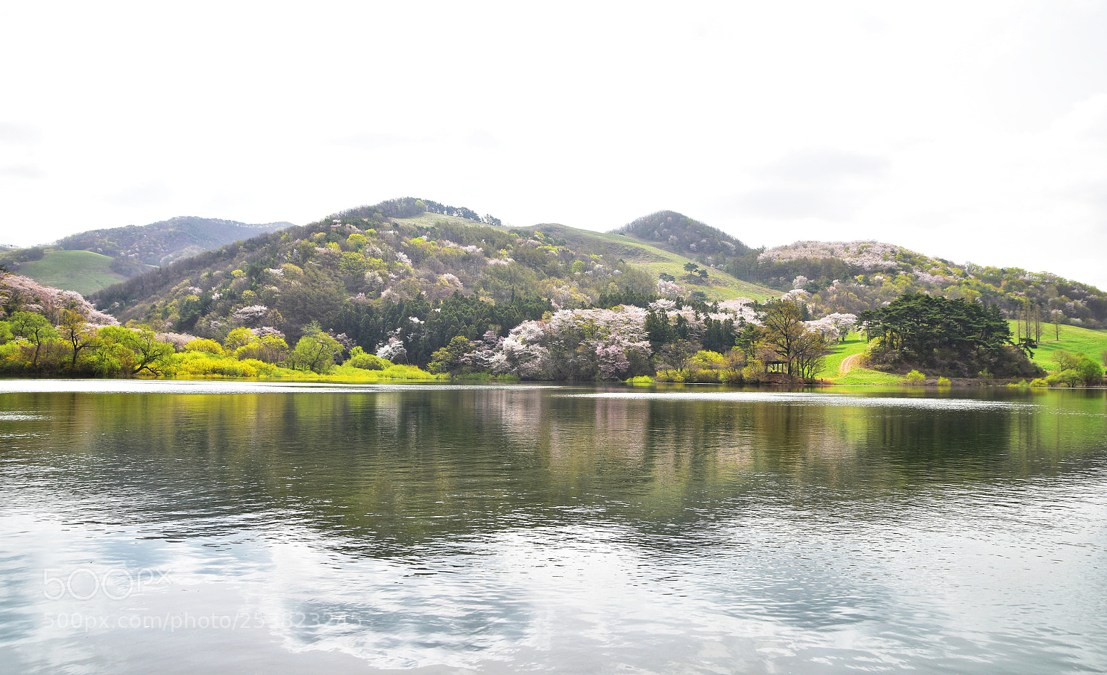 Nikon D810 sample photo. Untitled photography