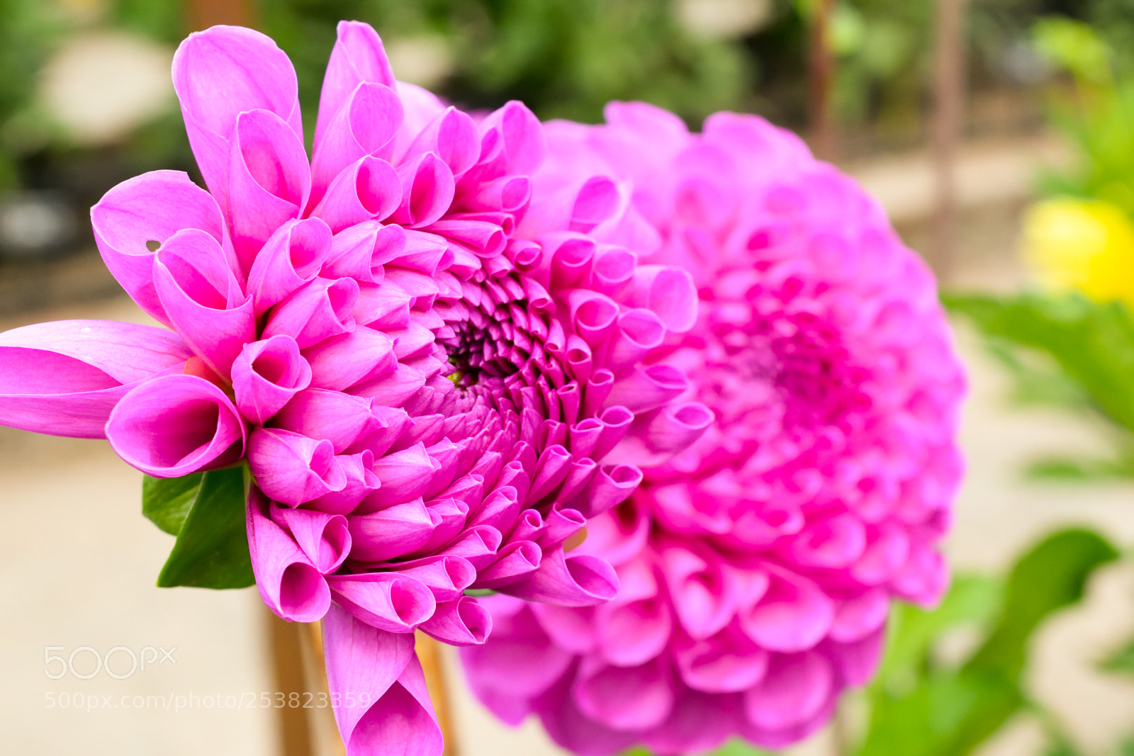 Nikon D3300 sample photo. Edited photography