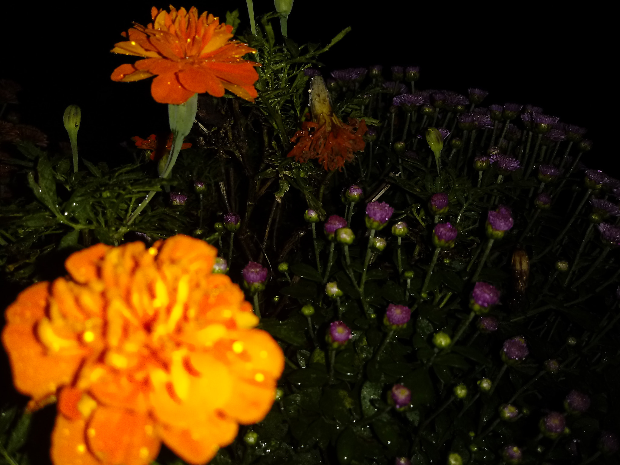LG K10 (2017) sample photo